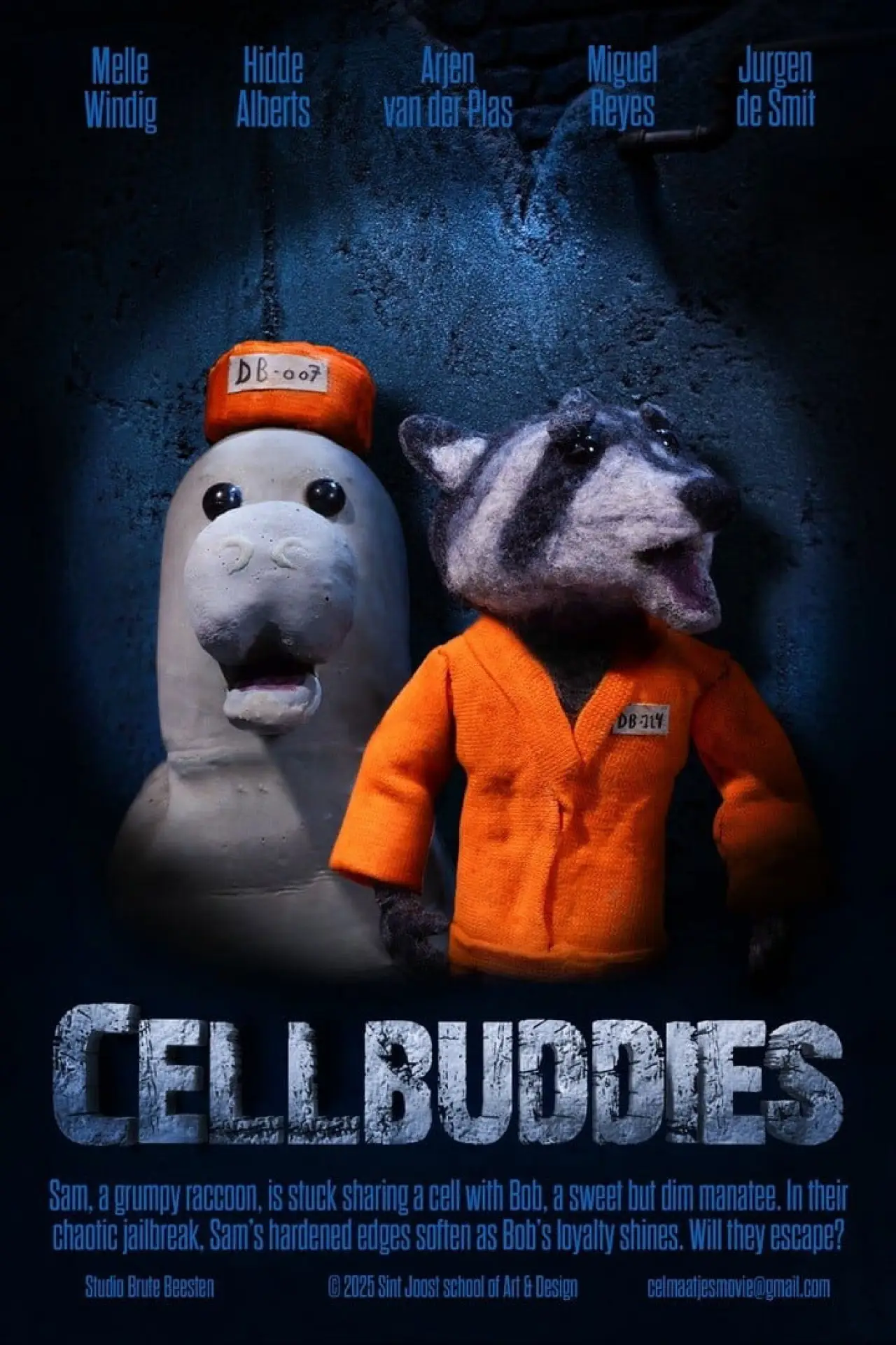 Постер к фильму "Celmaatjes"