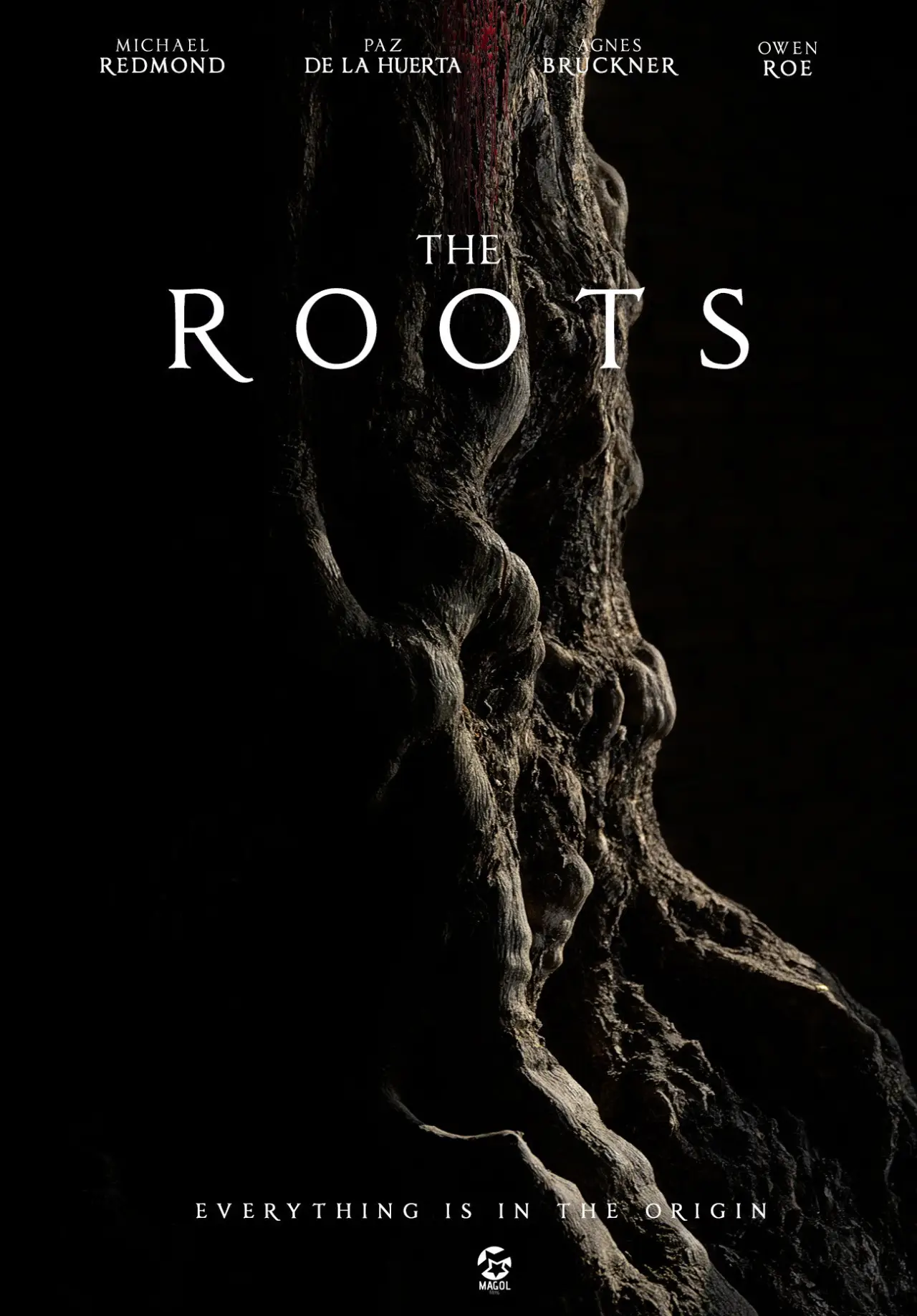 Постер к фильму "The Roots"