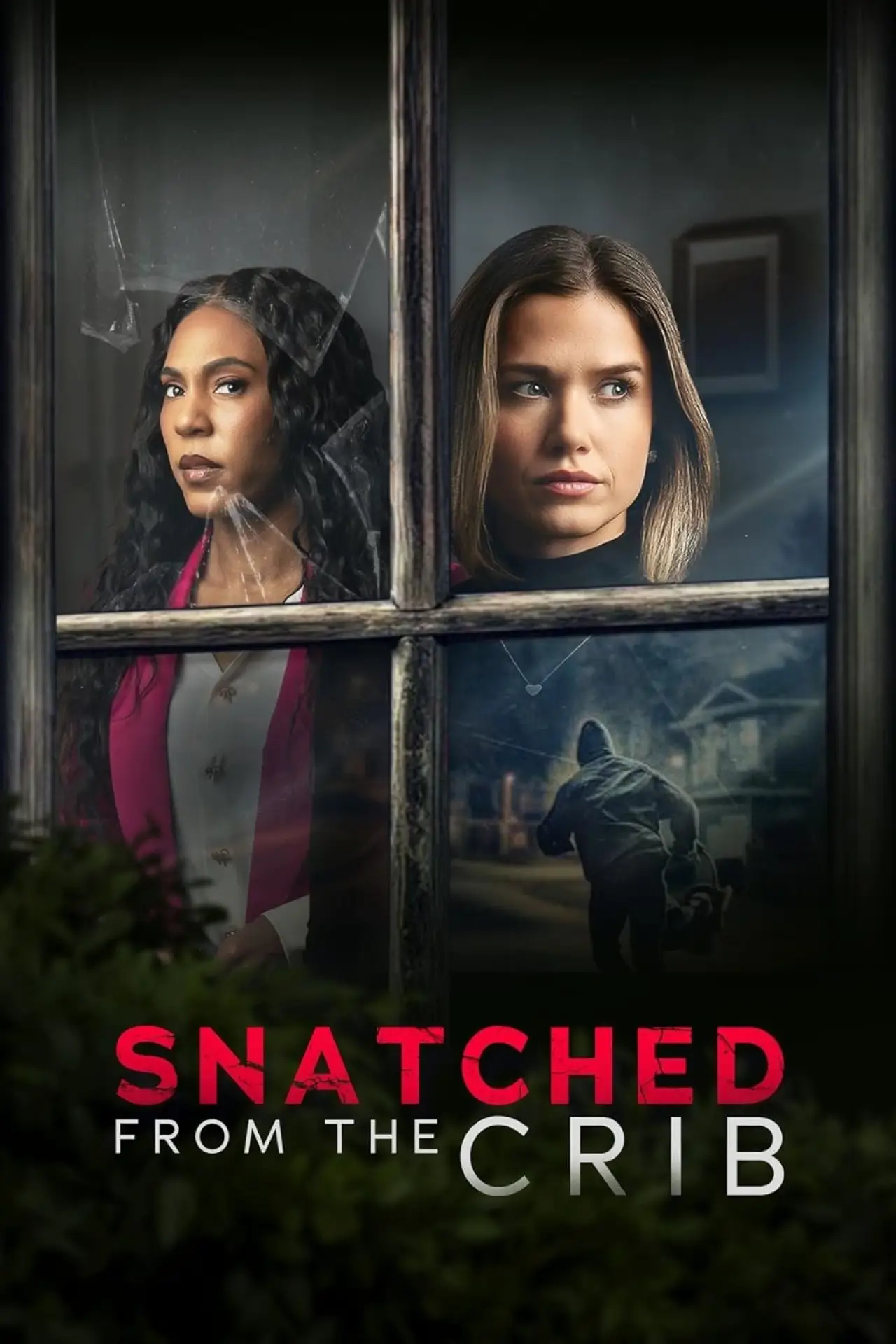 Постер к фильму "Snatched From The Crib"
