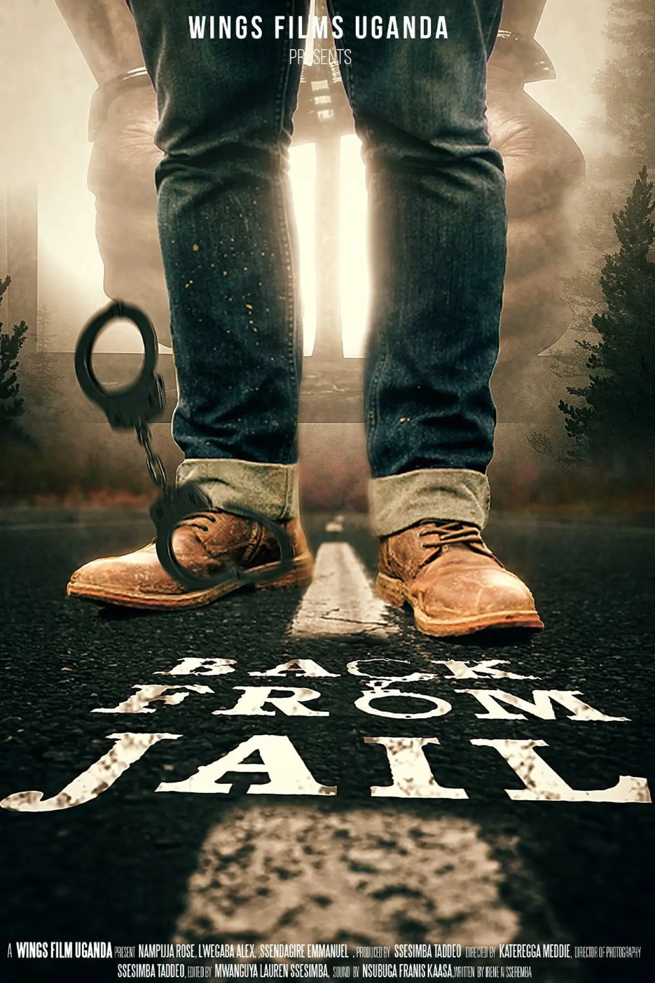 Постер к фильму "Back From Jail"