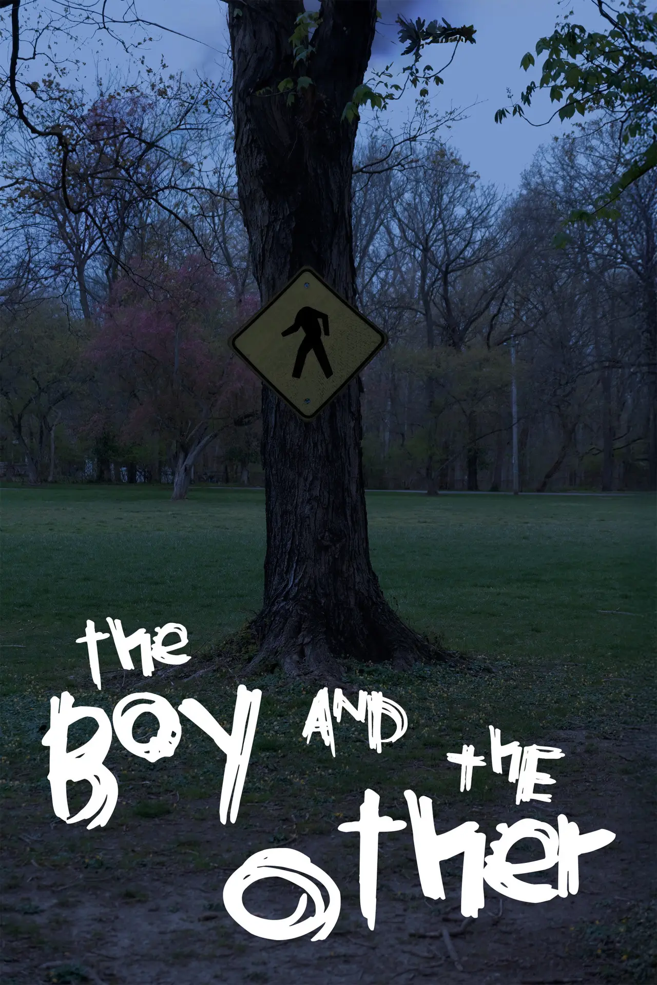 Постер к фильму "The Boy and The Other"