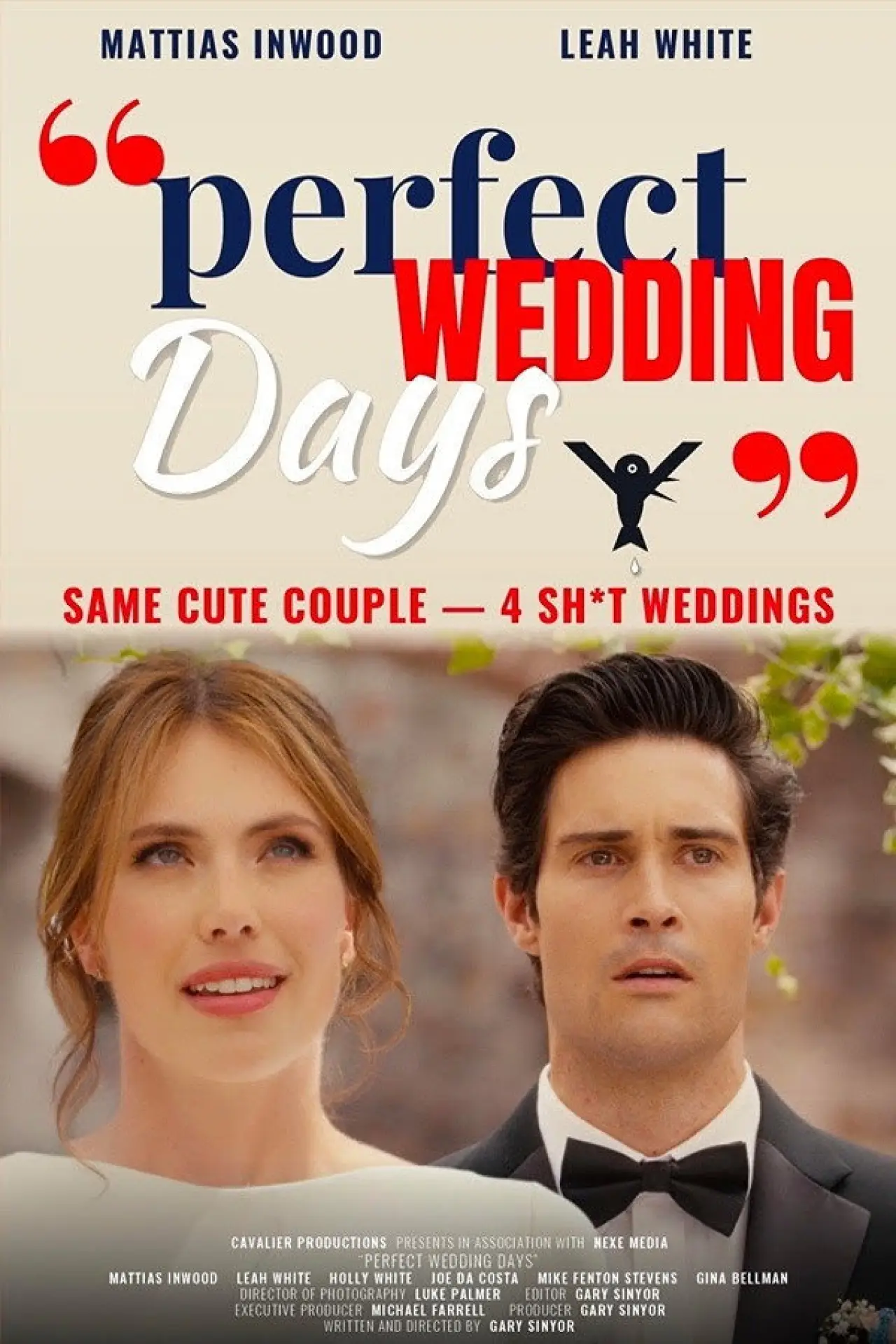 Постер к фильму ""Perfect Wedding Days""