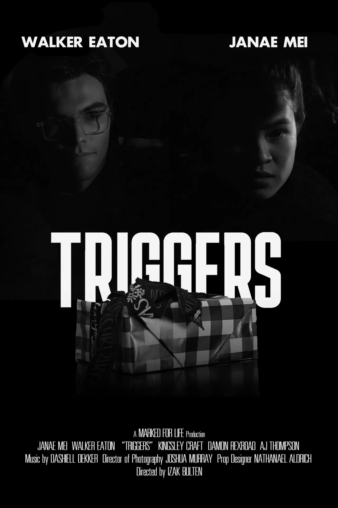 Постер к фильму "Triggers"