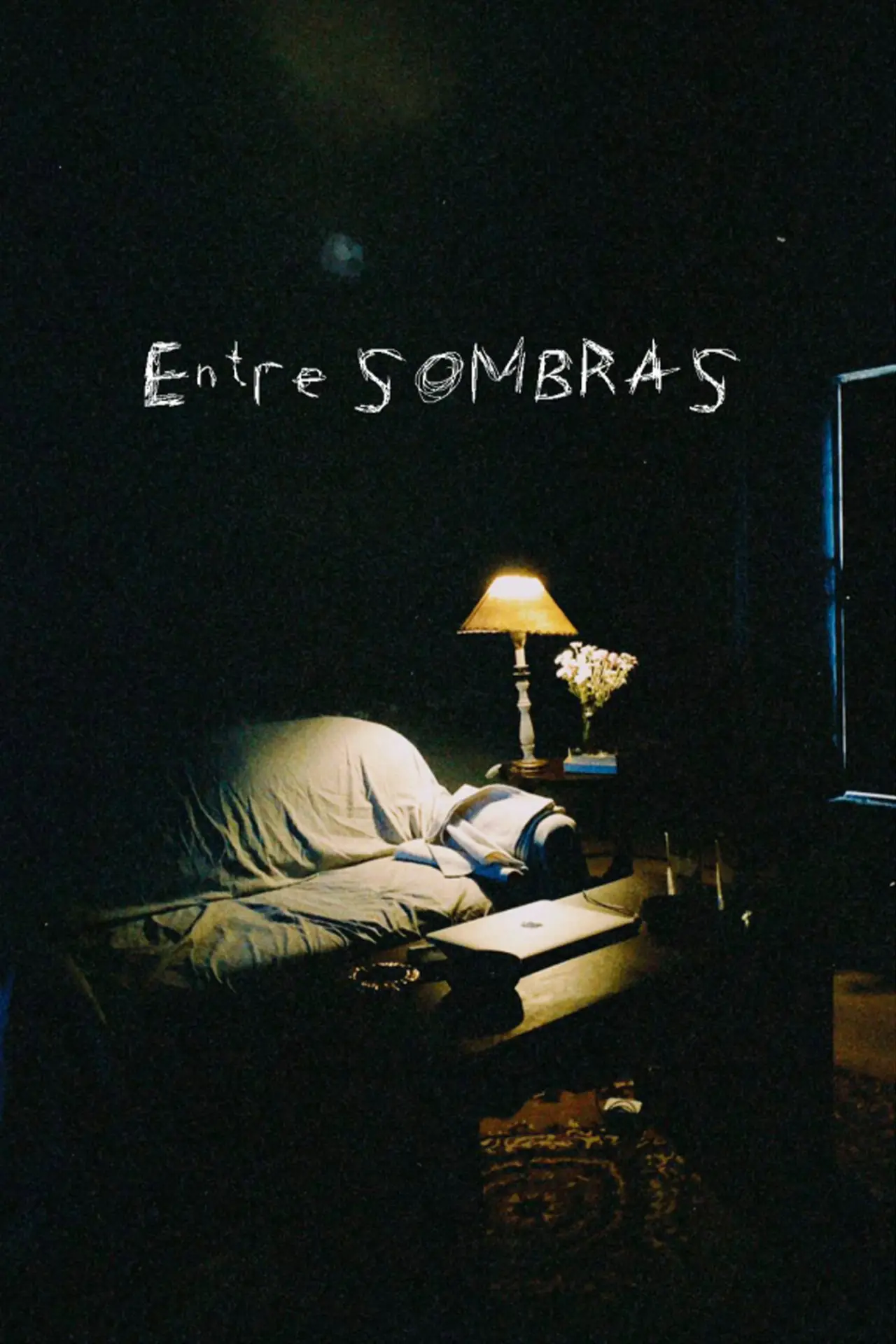 Постер к фильму "Entre sombras"