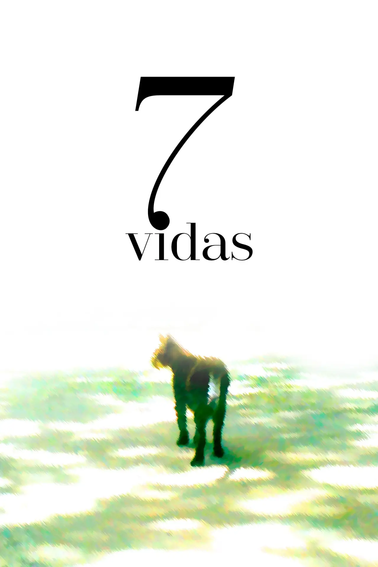 Постер к фильму "7 Vidas"
