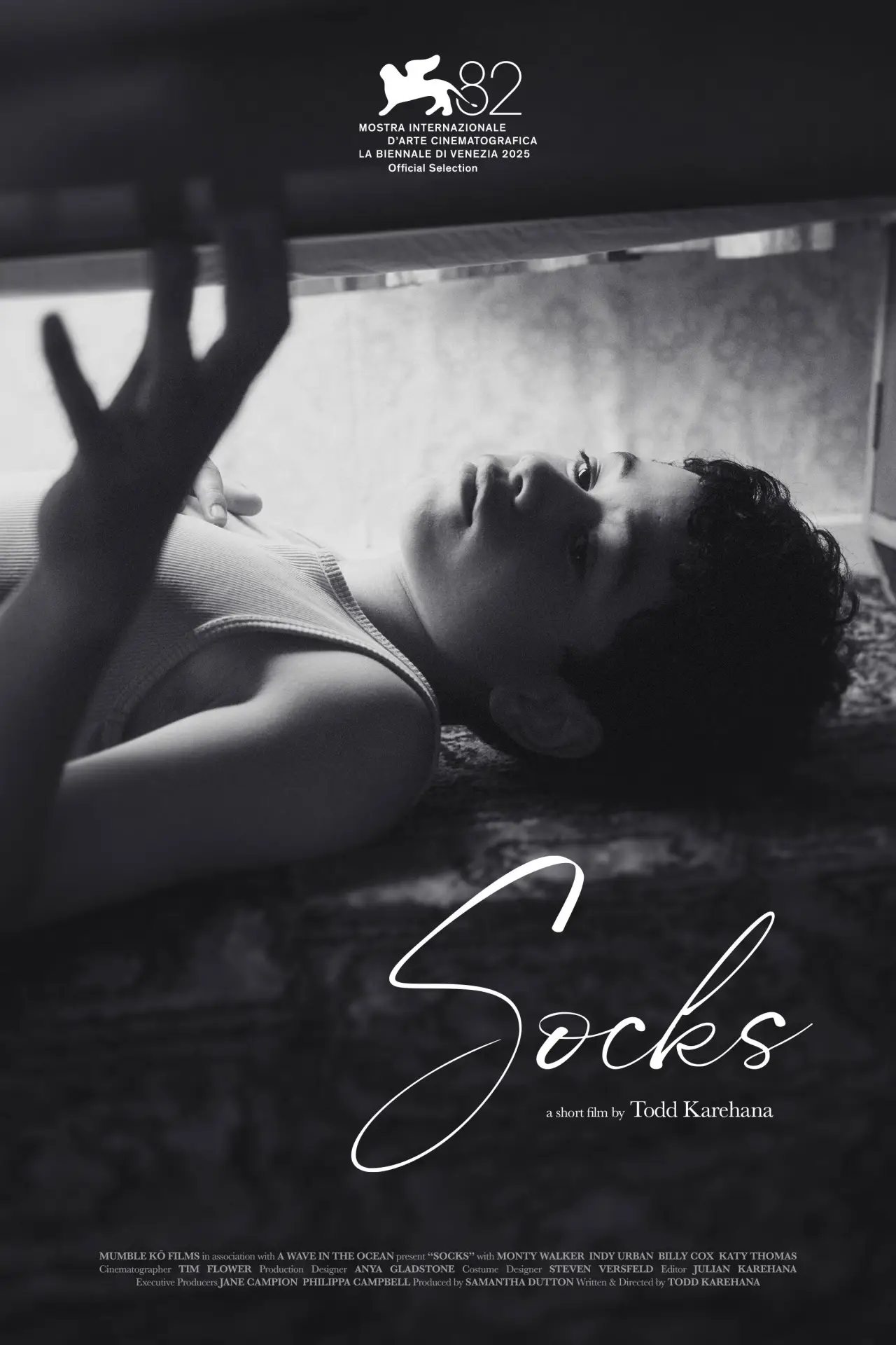 Постер к фильму "Socks"