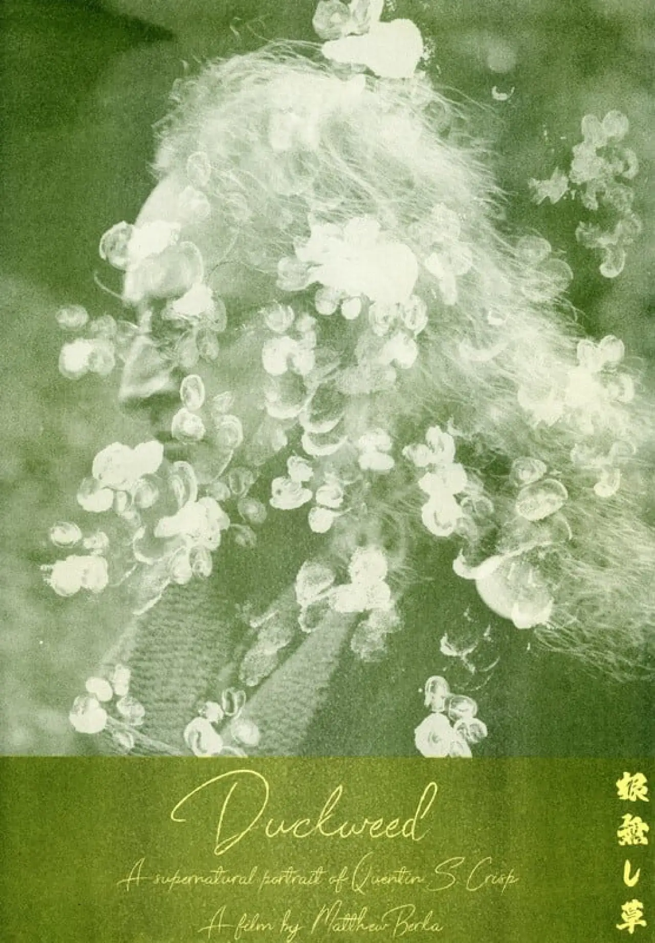 Постер к фильму "Duckweed"