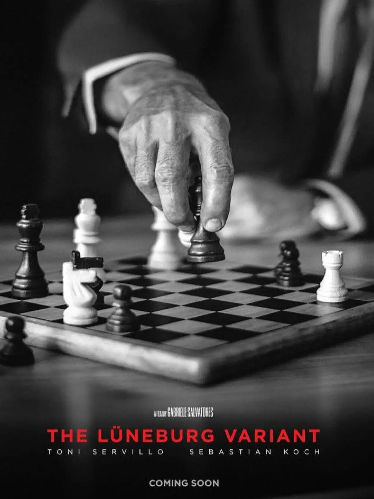 Постер к фильму "La variante di Lüneburg"