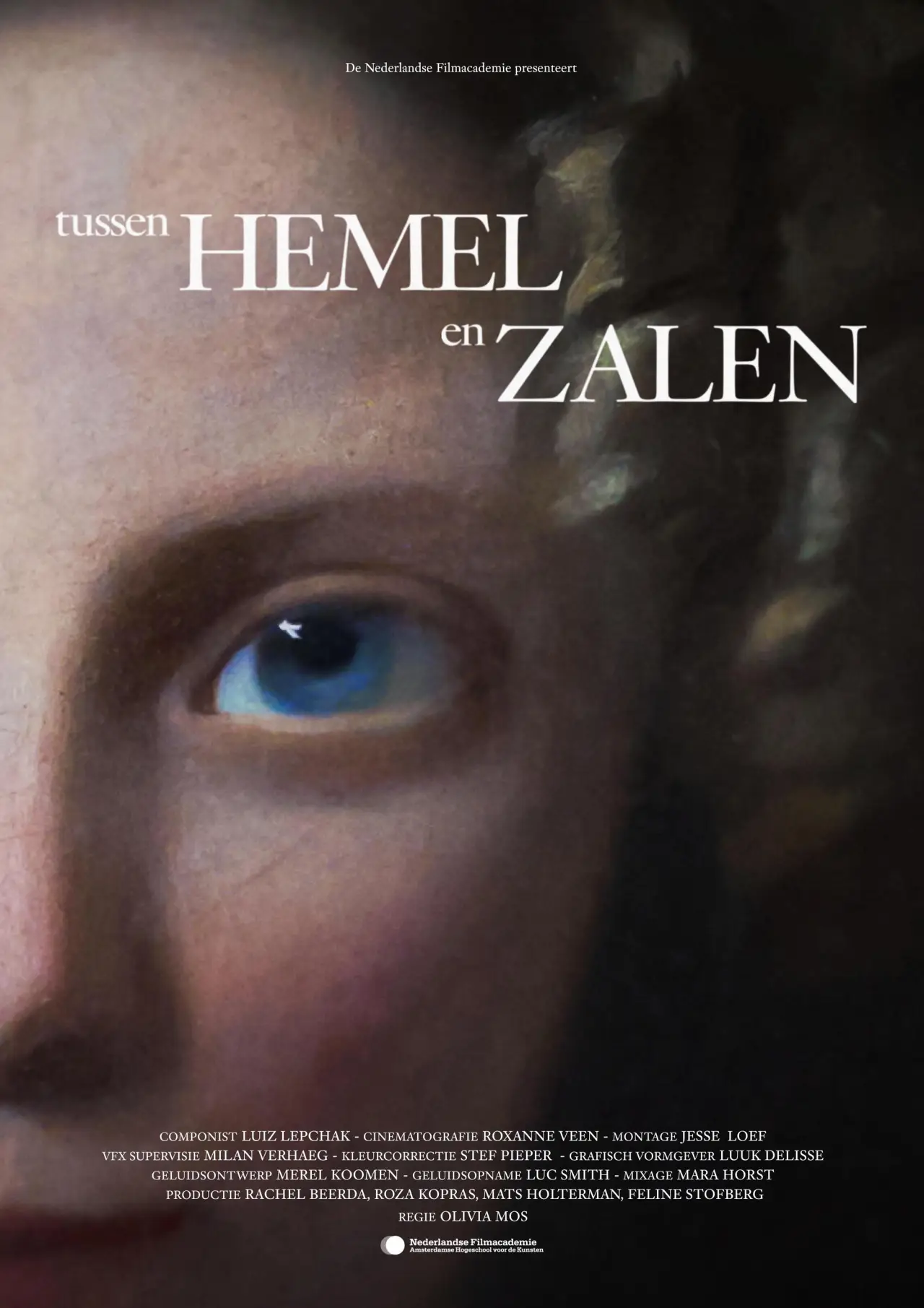 Постер к фильму "Tussen Hemel en Zalen"