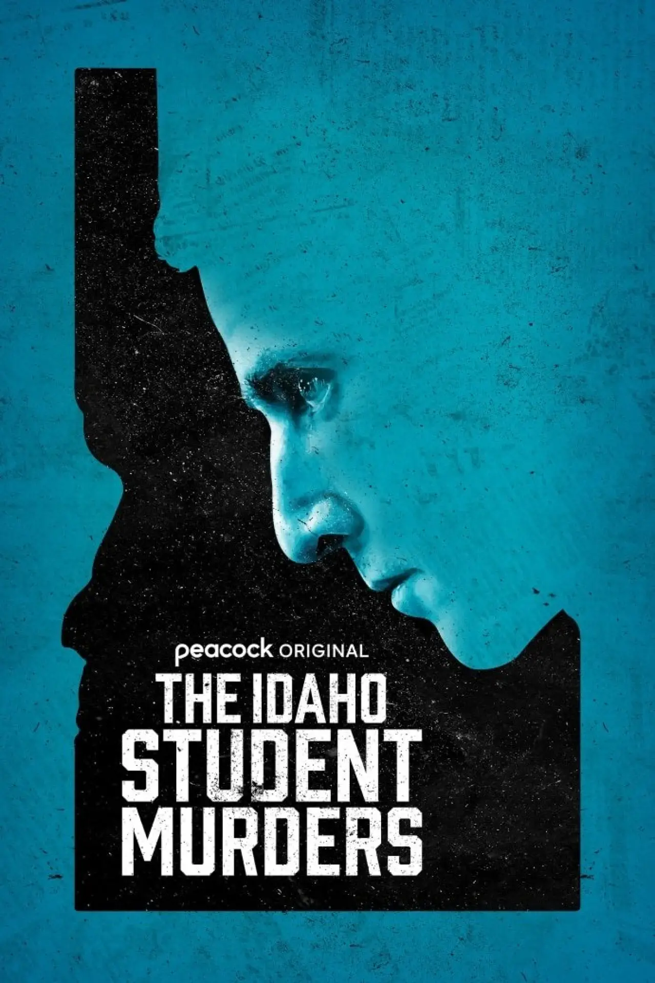 Постер к фильму "The Idaho Student Murders"