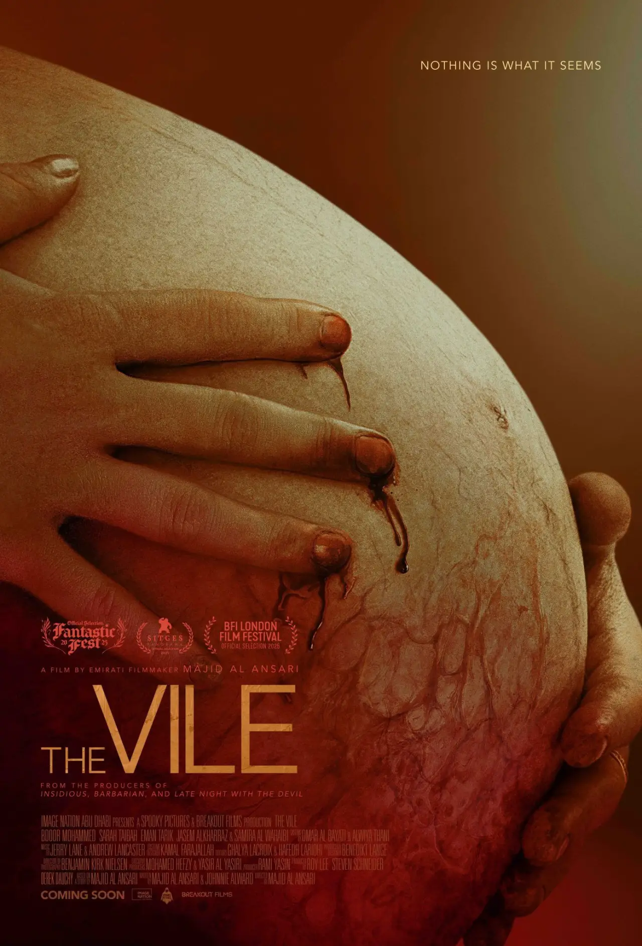 Постер к фильму "The Vile"