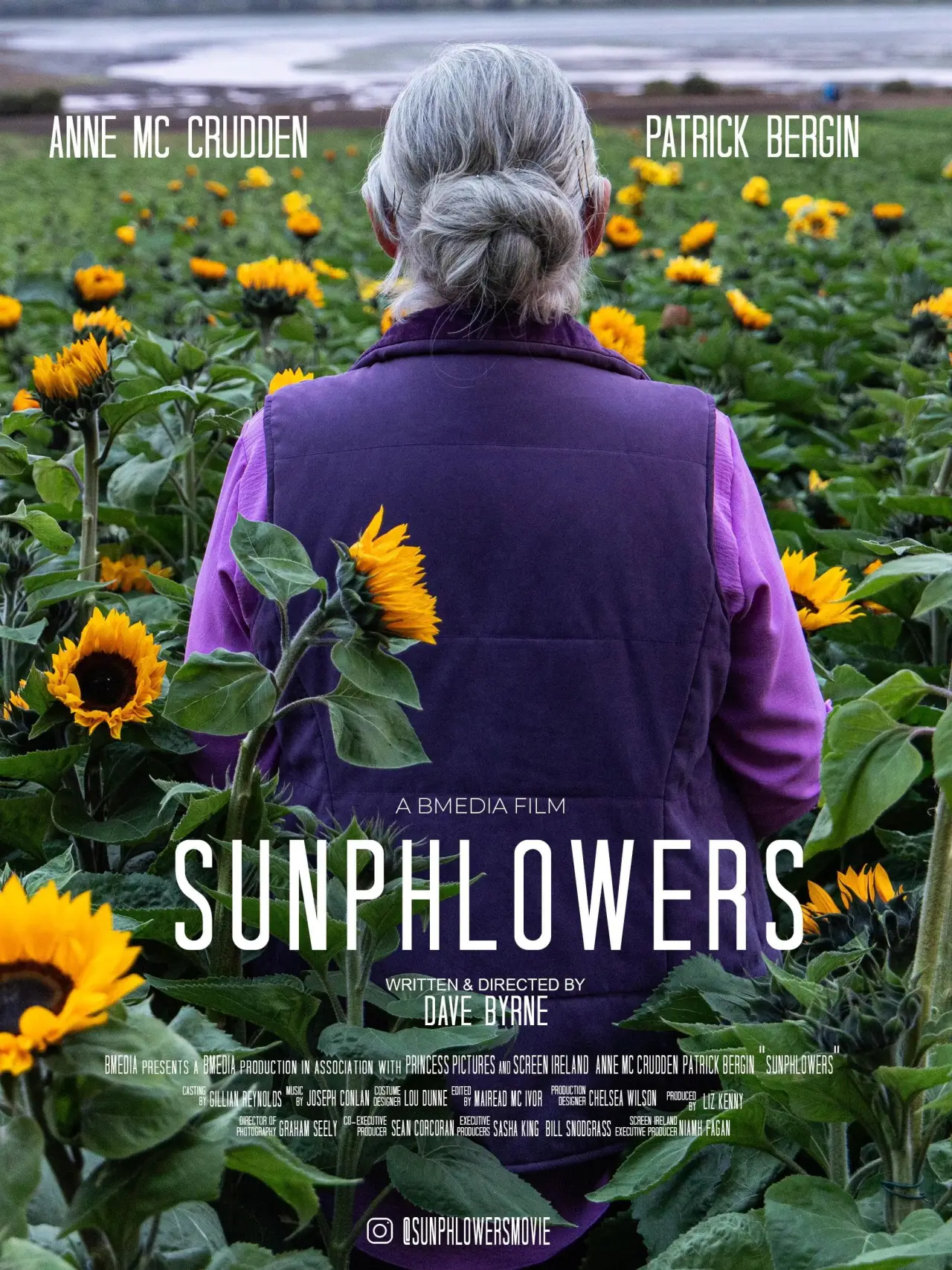 Постер к фильму "Sunphlowers"