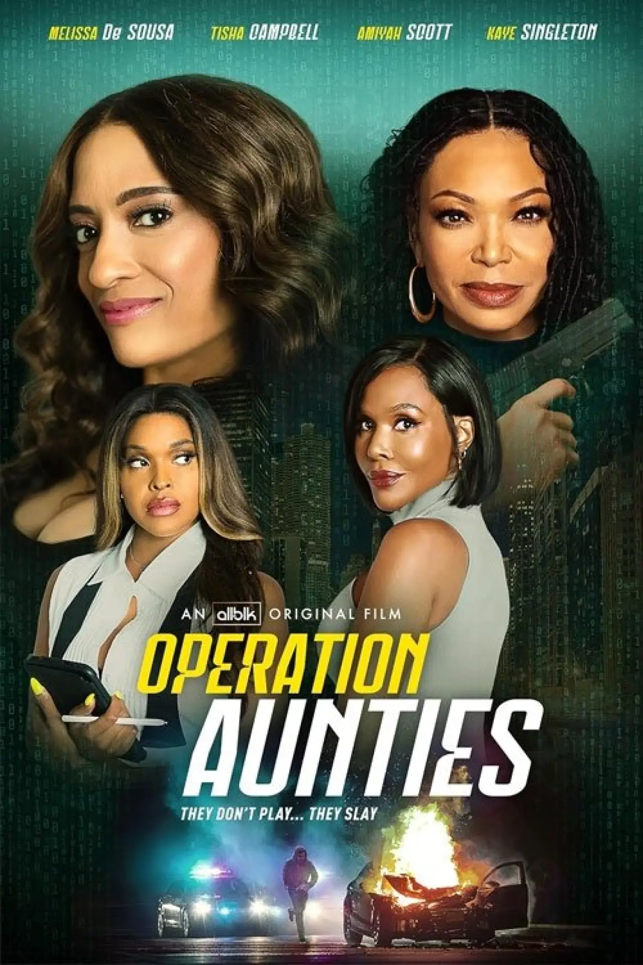 Постер к фильму "Operation: Aunties"