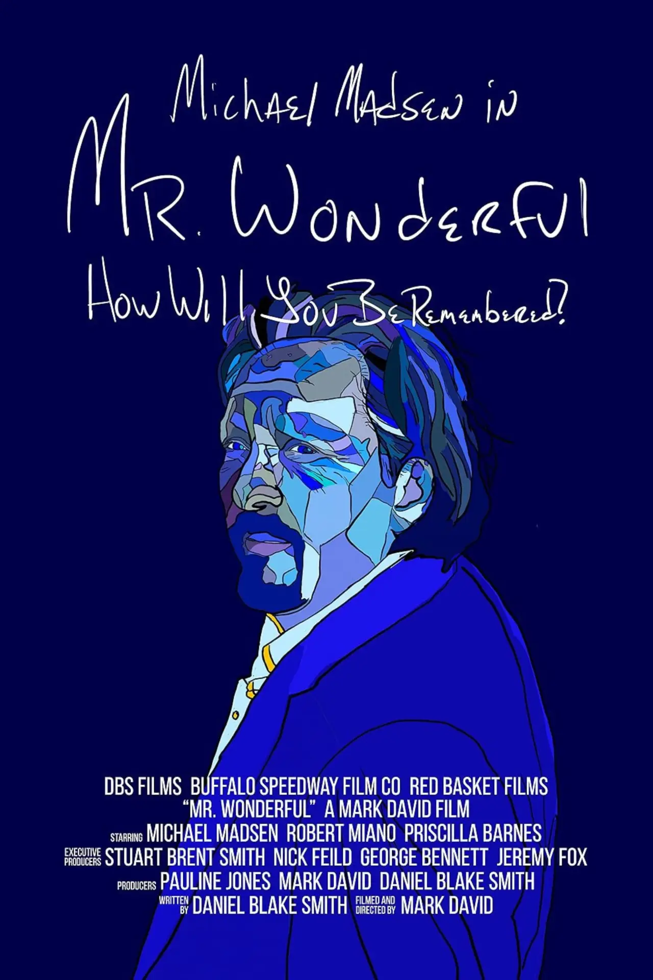 Постер к фильму "Mr. Wonderful"