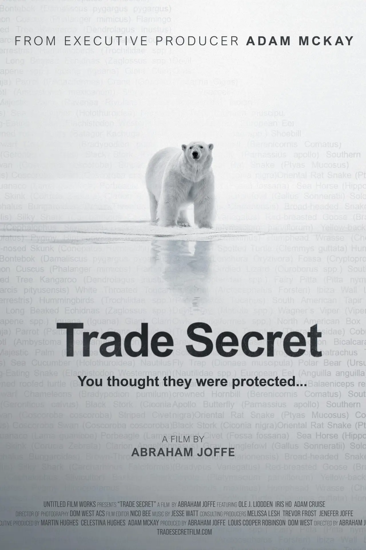 Постер к фильму "Trade Secret"