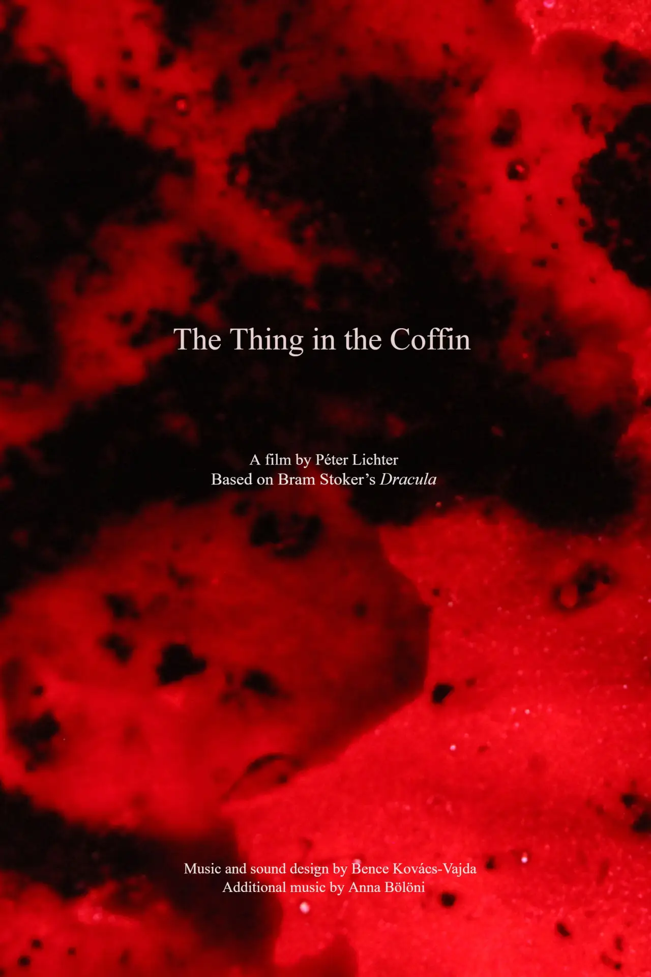Постер к фильму "The Thing in the Coffin"