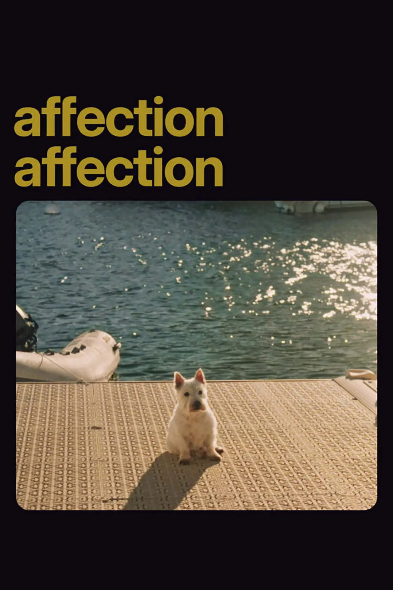 Постер к фильму "Affection Affection"