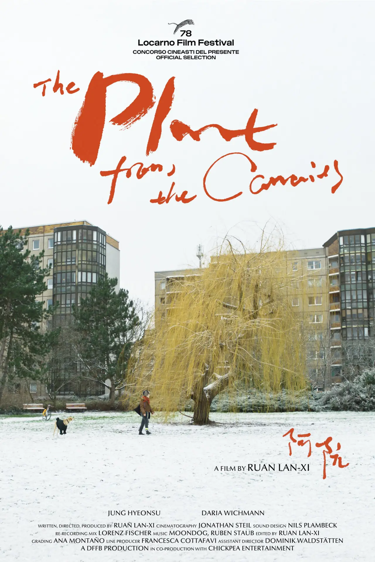 Постер к фильму "The Plant from the Canaries"