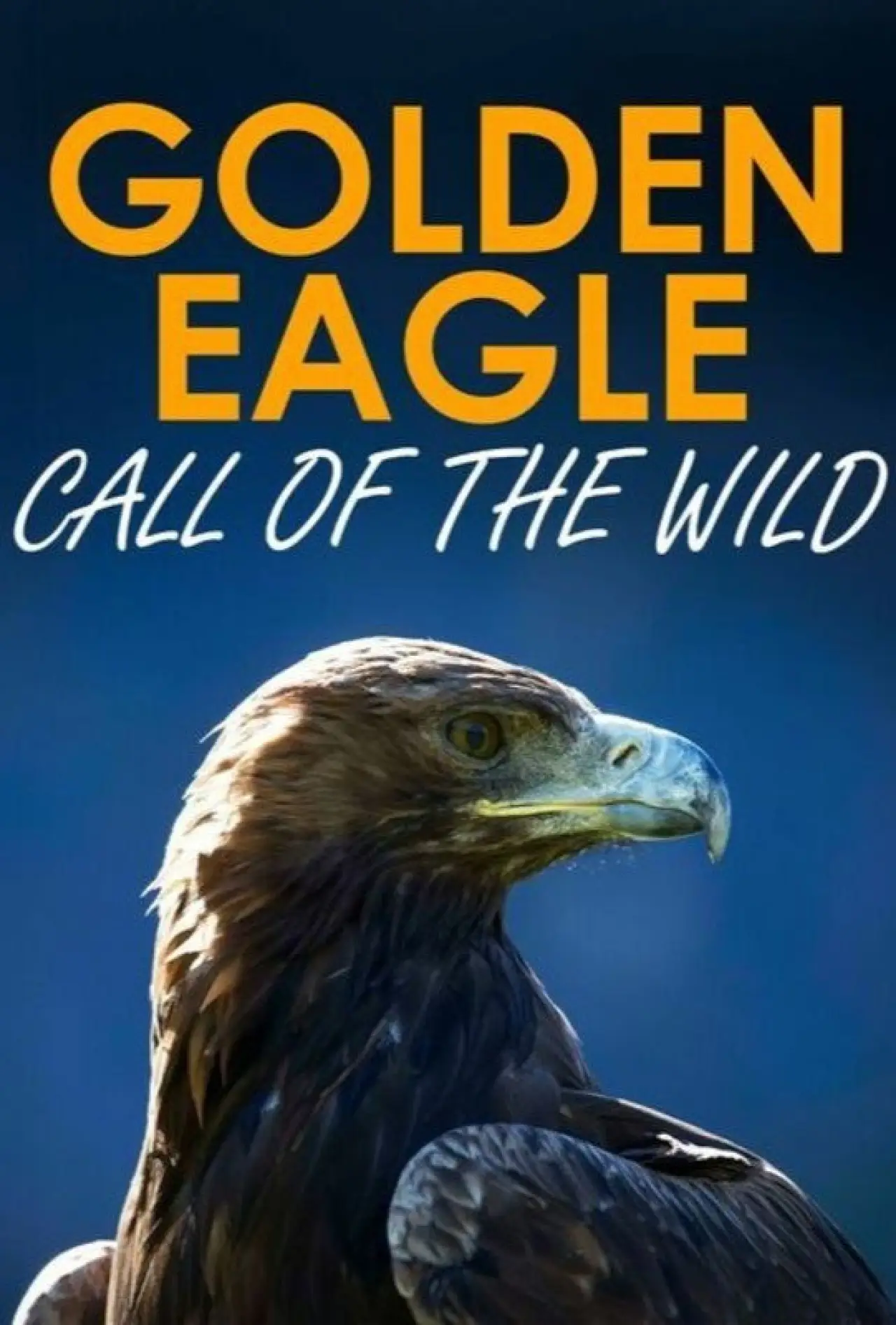Постер к фильму "Golden Eagle:Call of the Wild"