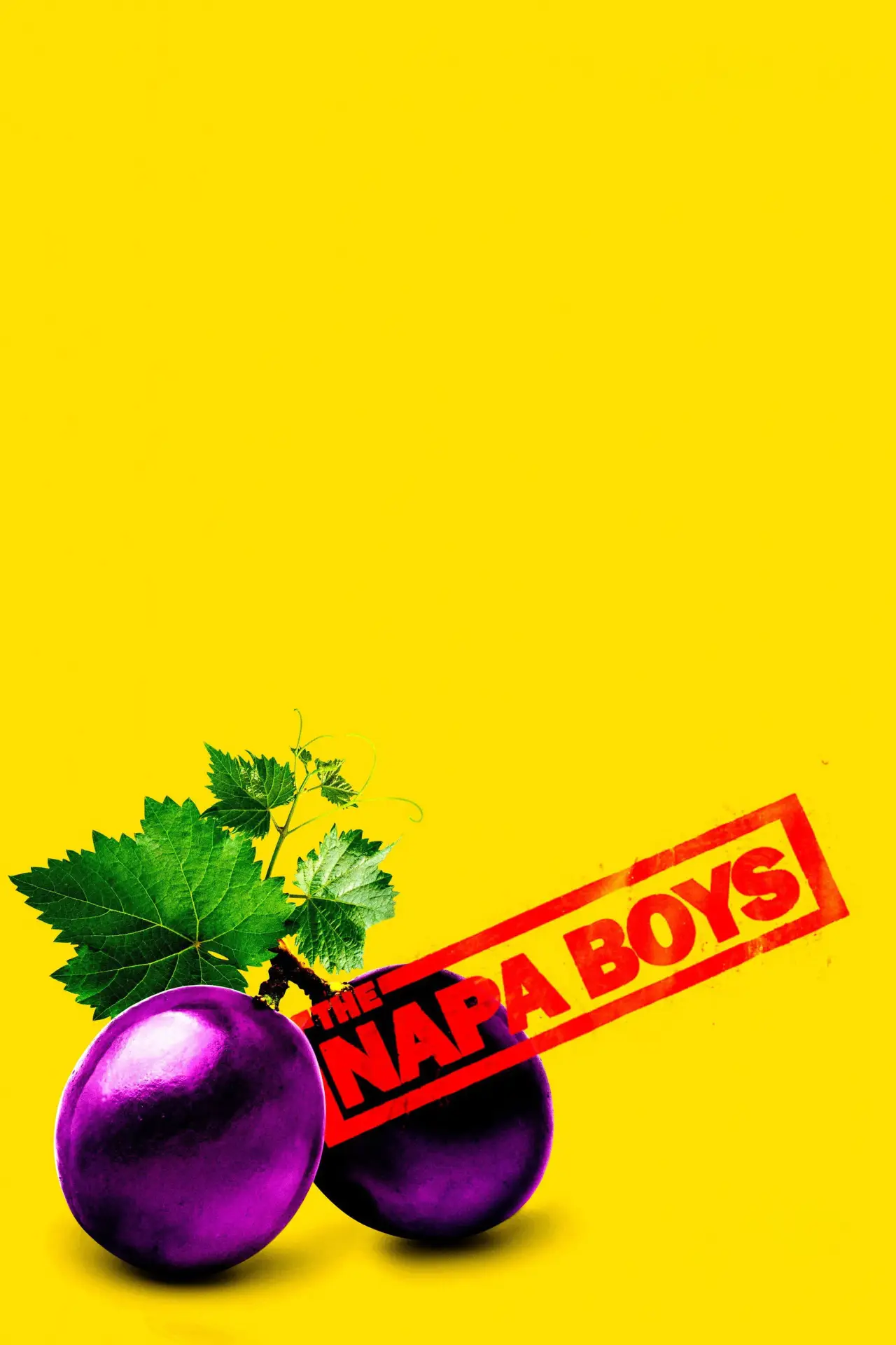 Постер к фильму "The Napa Boys"