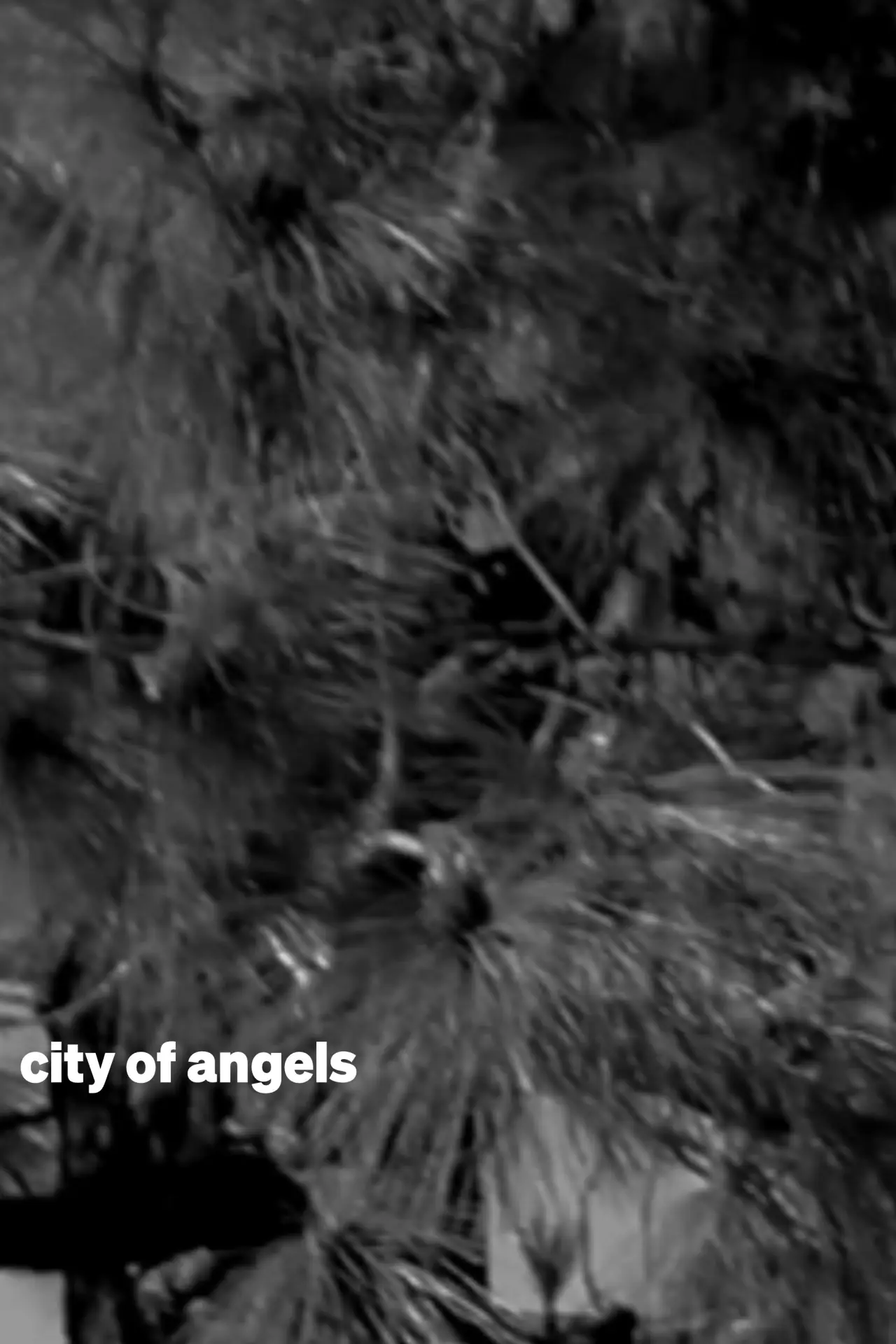 Постер к фильму "city of angels"