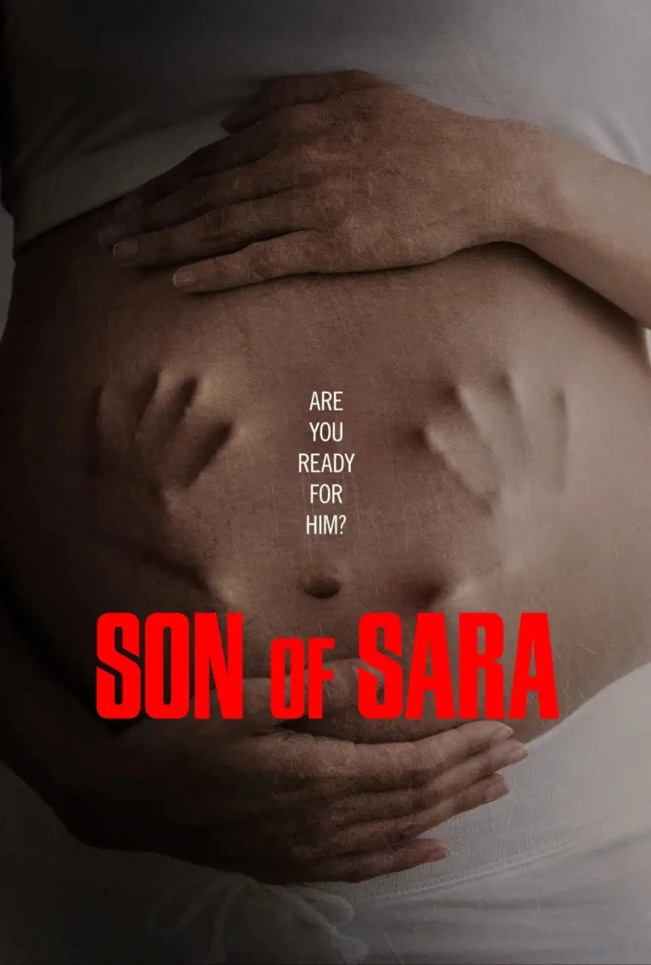 Постер к фильму "Son of Sara"