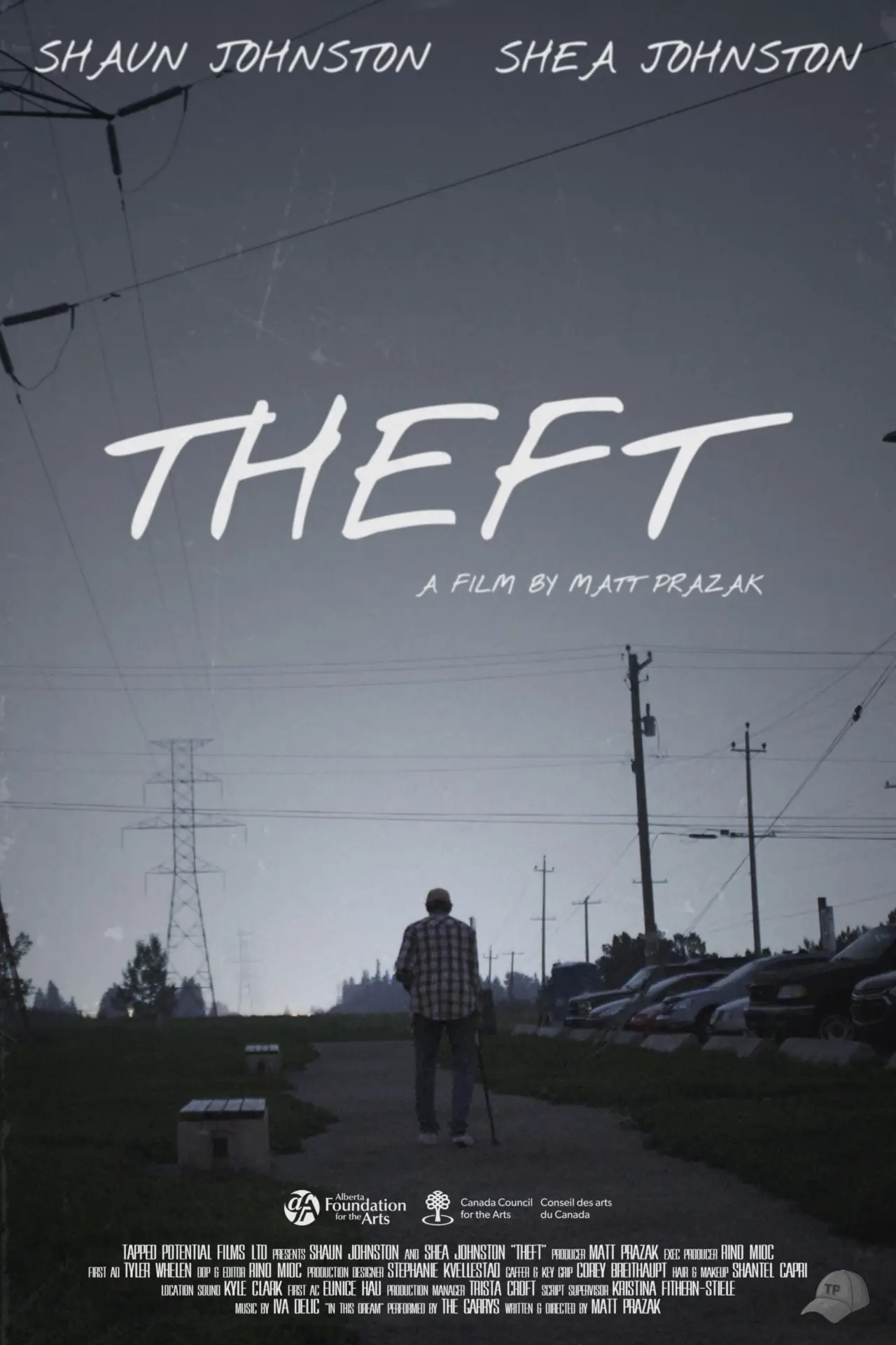 Постер к фильму "Theft"