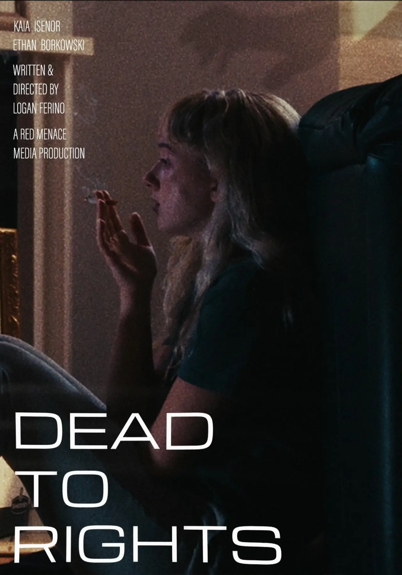 Постер к фильму "Dead to Rights"