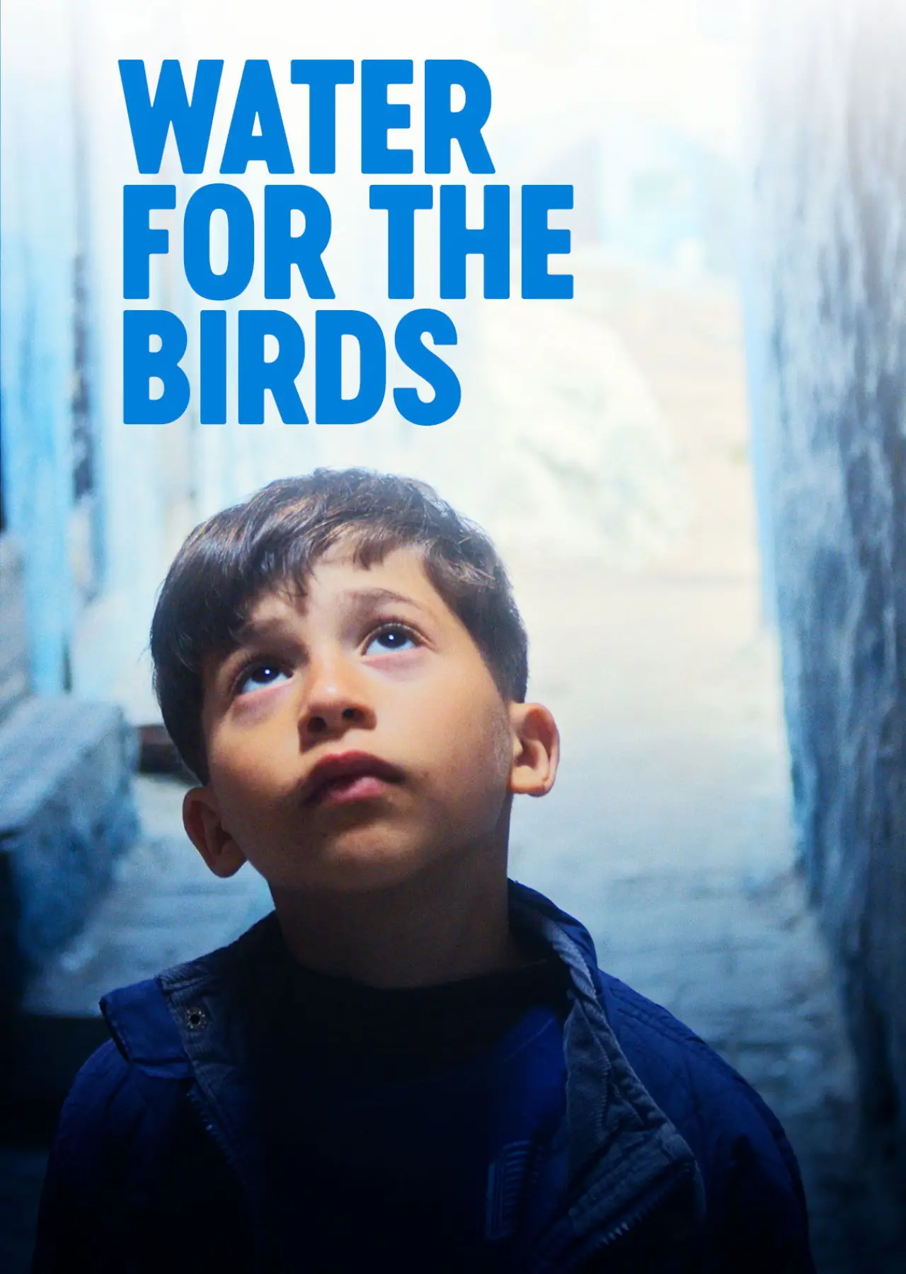 Постер к фильму "Water For The Birds"