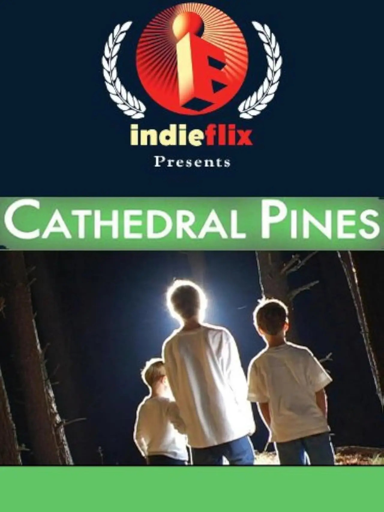 Постер к фильму "Cathedral Pines"