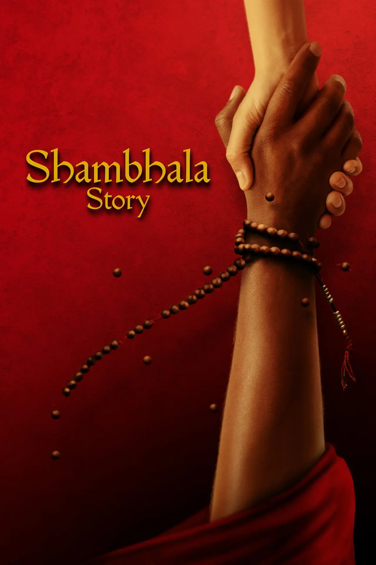 Постер к фильму "Shambhala Story"
