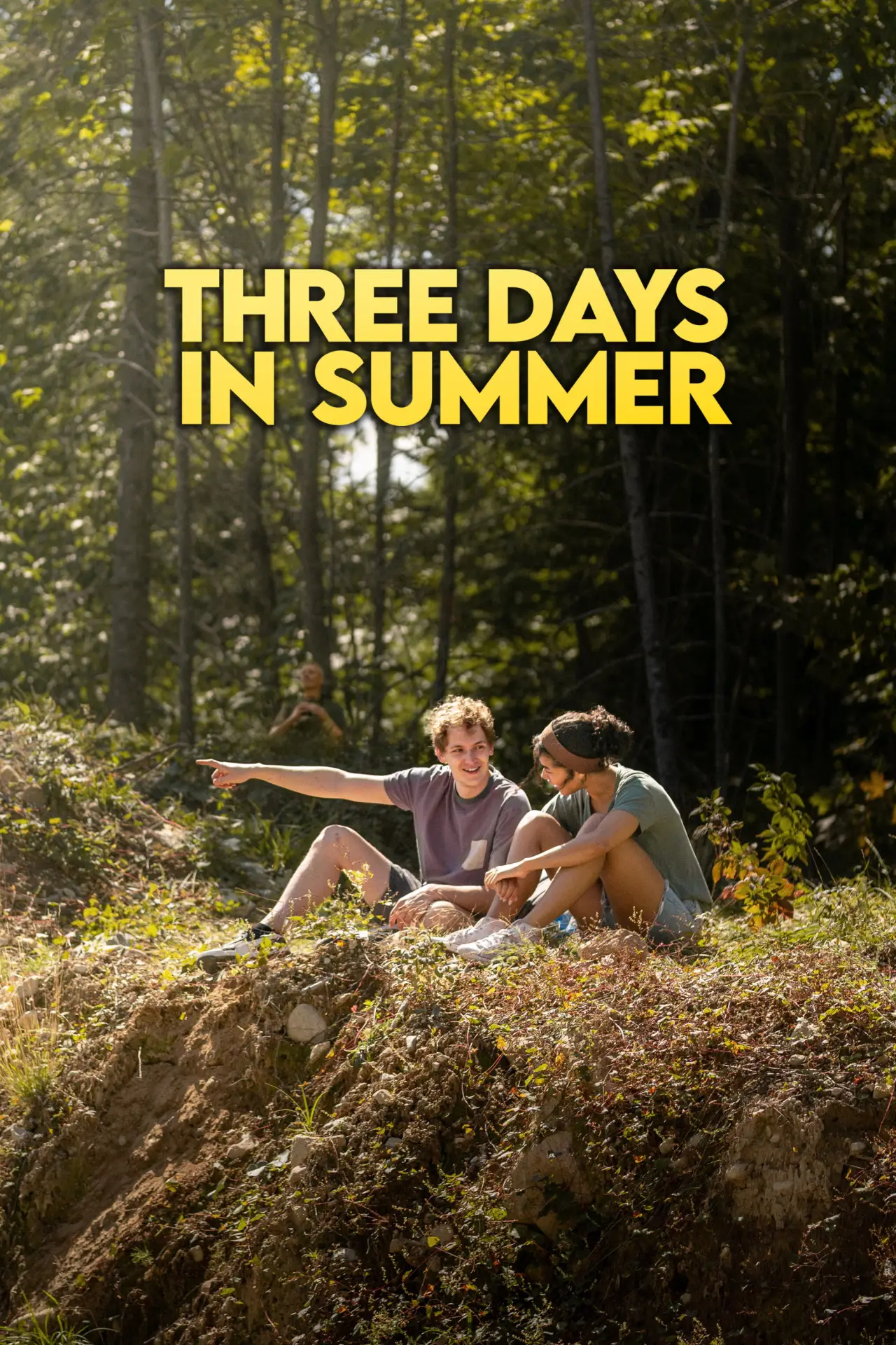 Постер к фильму "Three Days in Summer"
