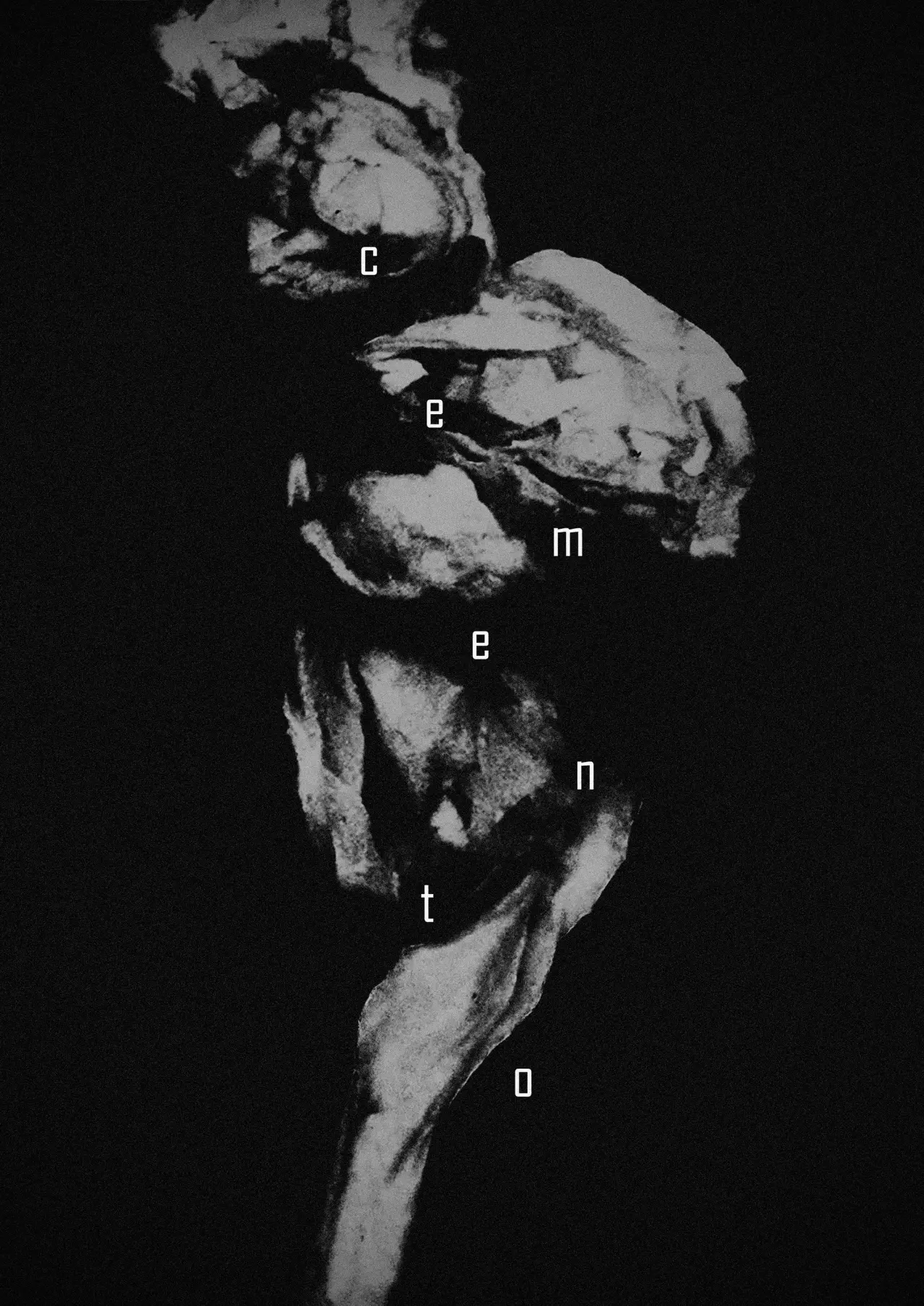 Постер к фильму "Cemento"