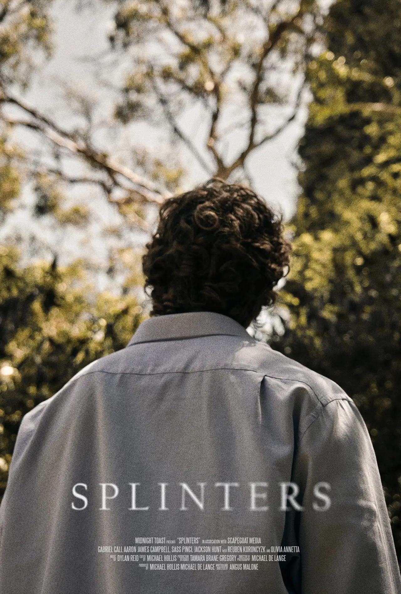 Постер к фильму "Splinters"