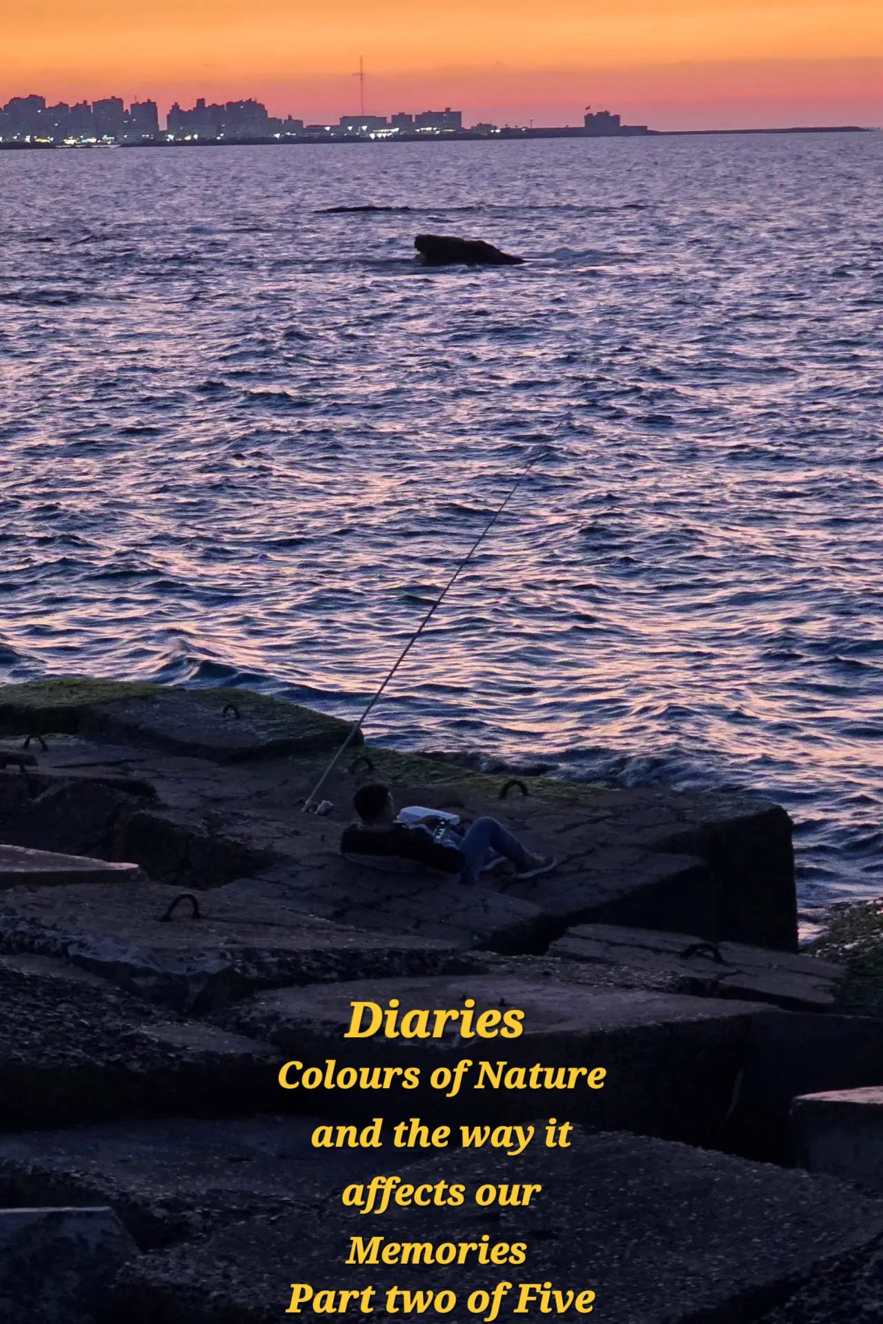 Постер к фильму "Diaries: Colours of Nature and the Way It Affects Our Memories."