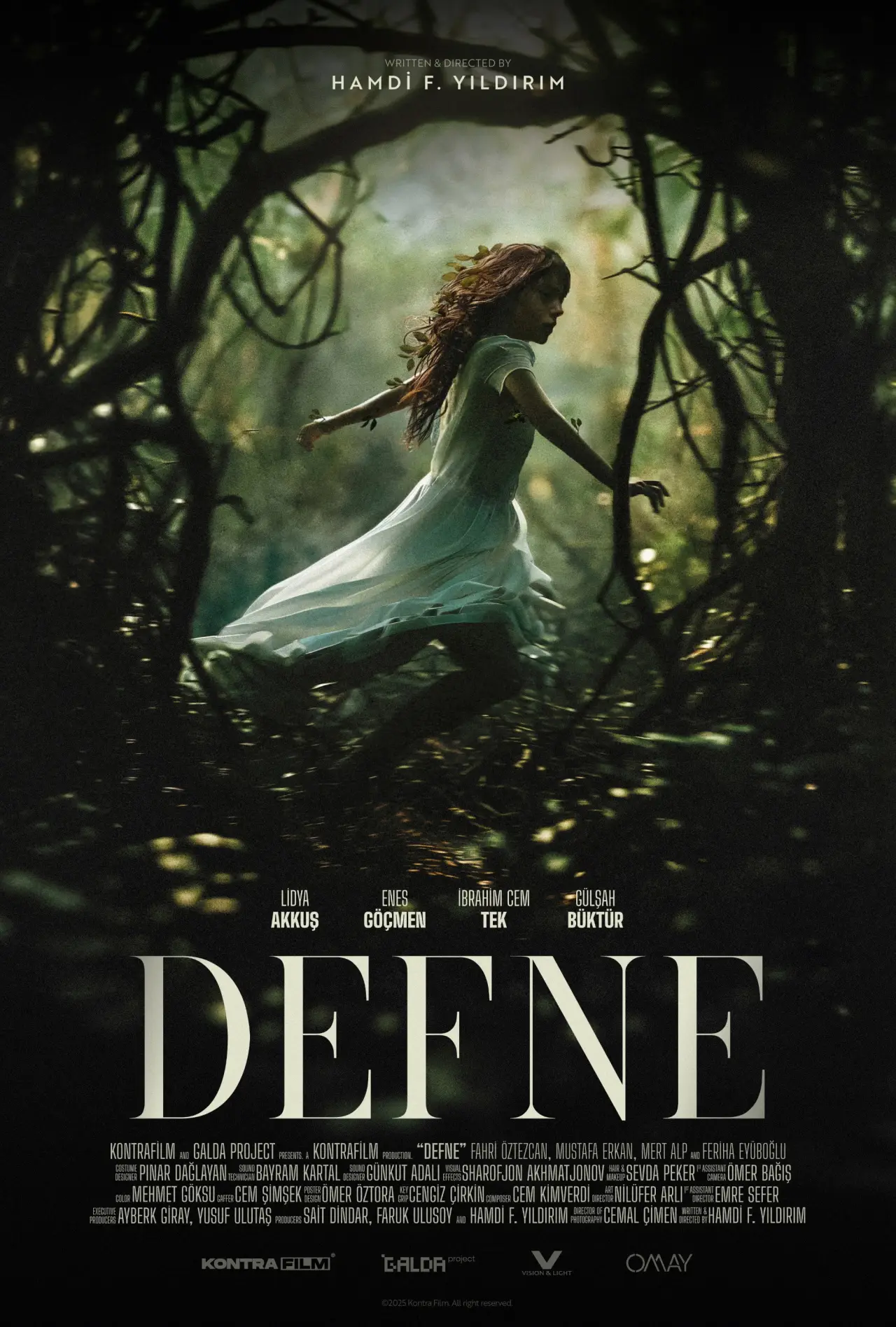 Постер к фильму "Defne"