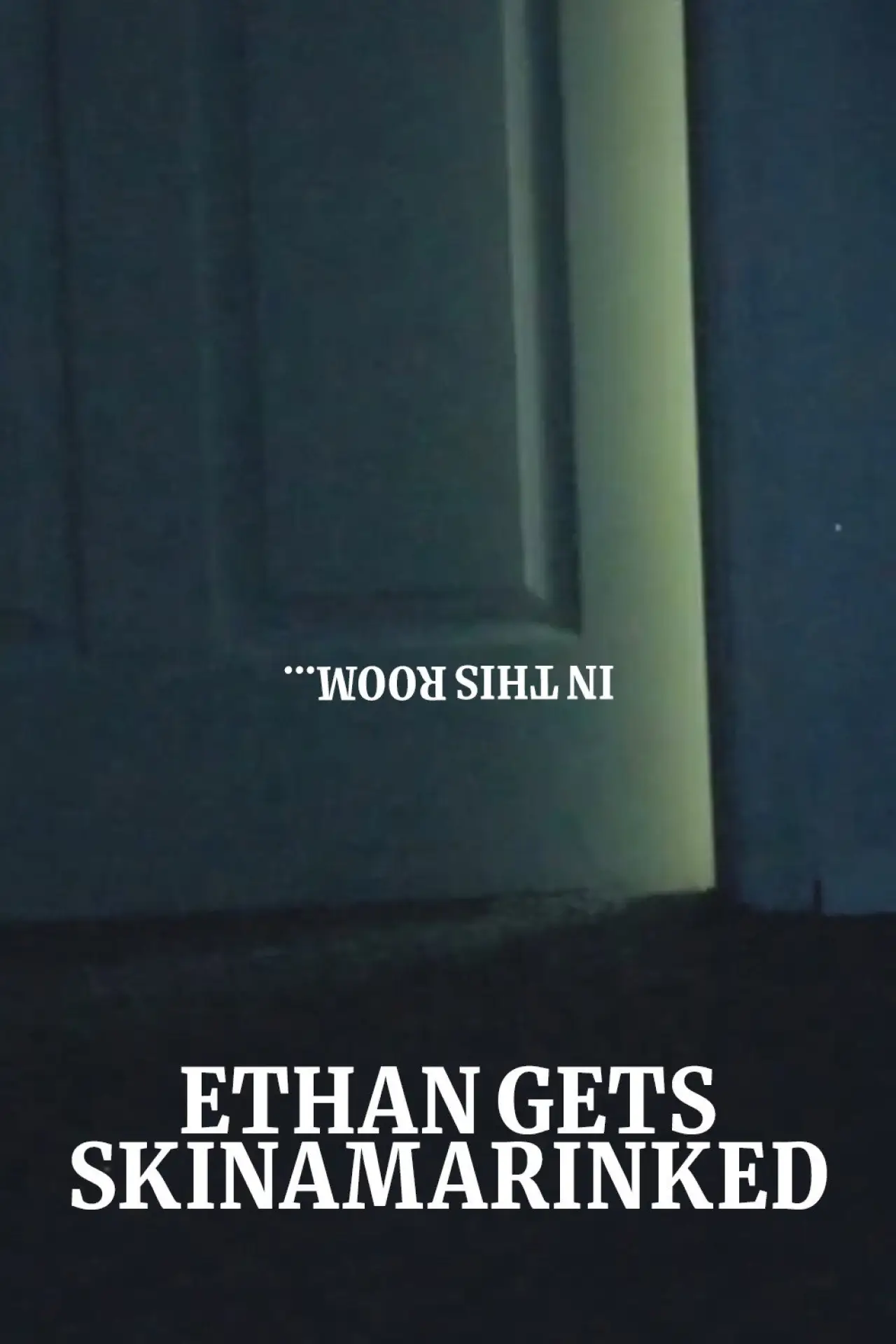 Постер к фильму "Ethan Gets Skinamarinked"