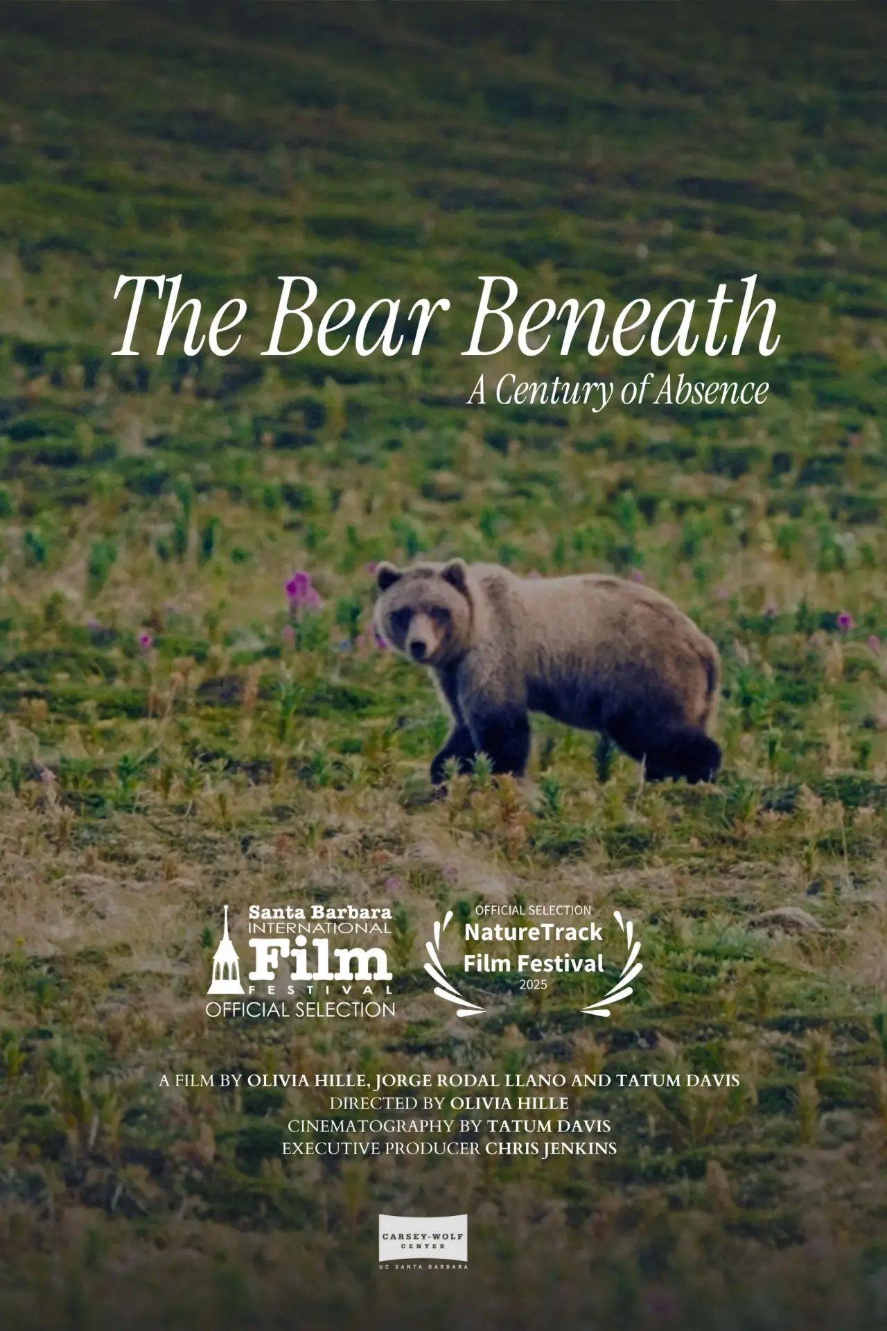 Постер к фильму "The Bear Beneath"
