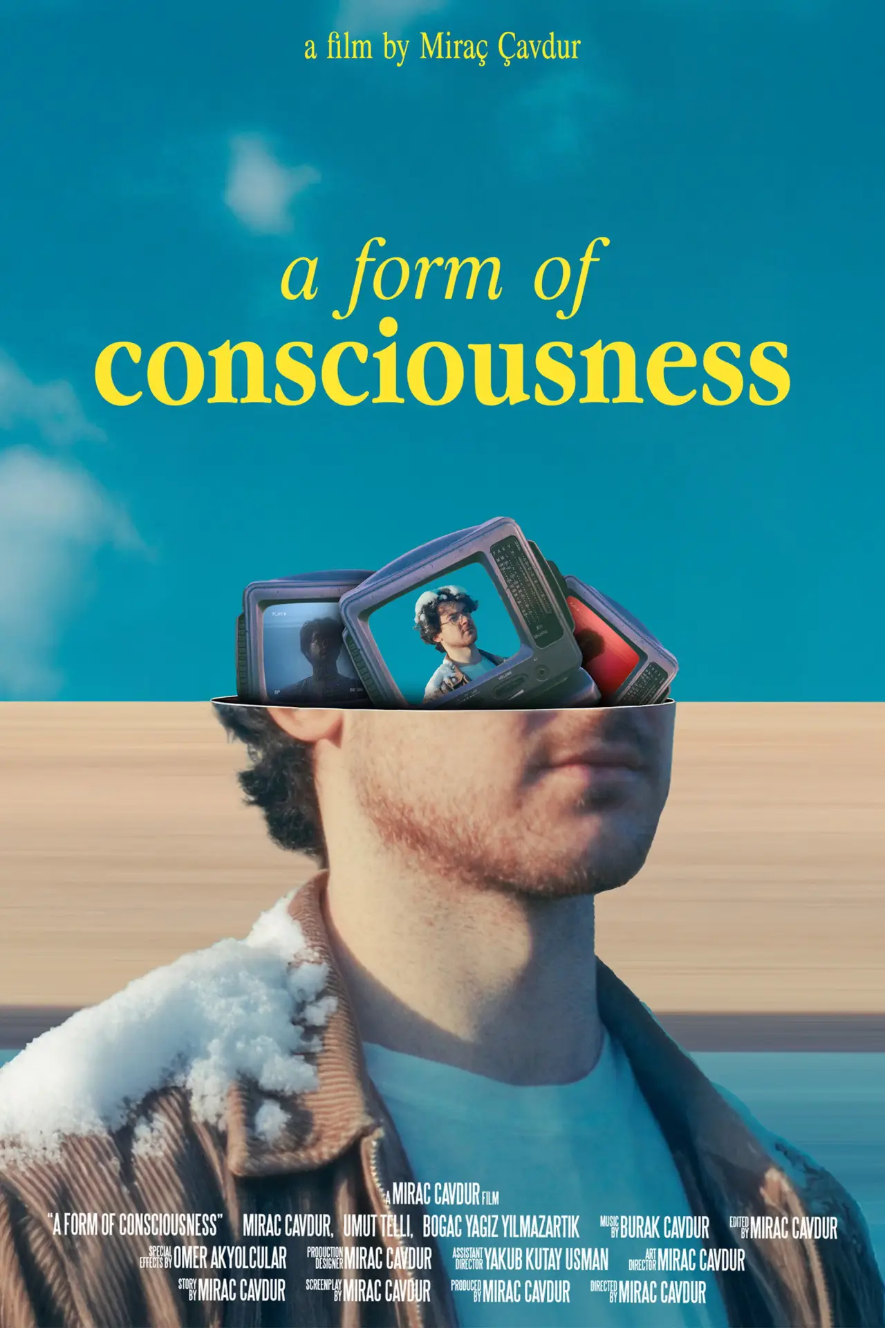 Постер к фильму "A Form of Consciousness"