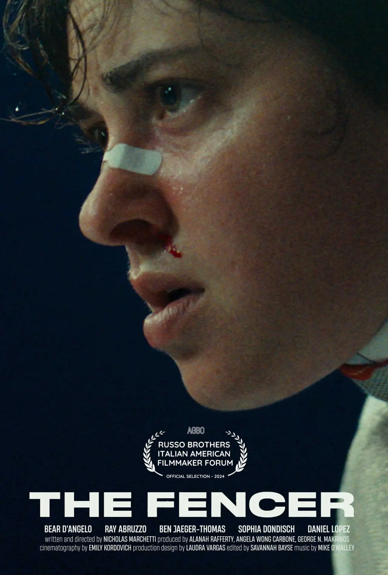 Постер к фильму "The Fencer"