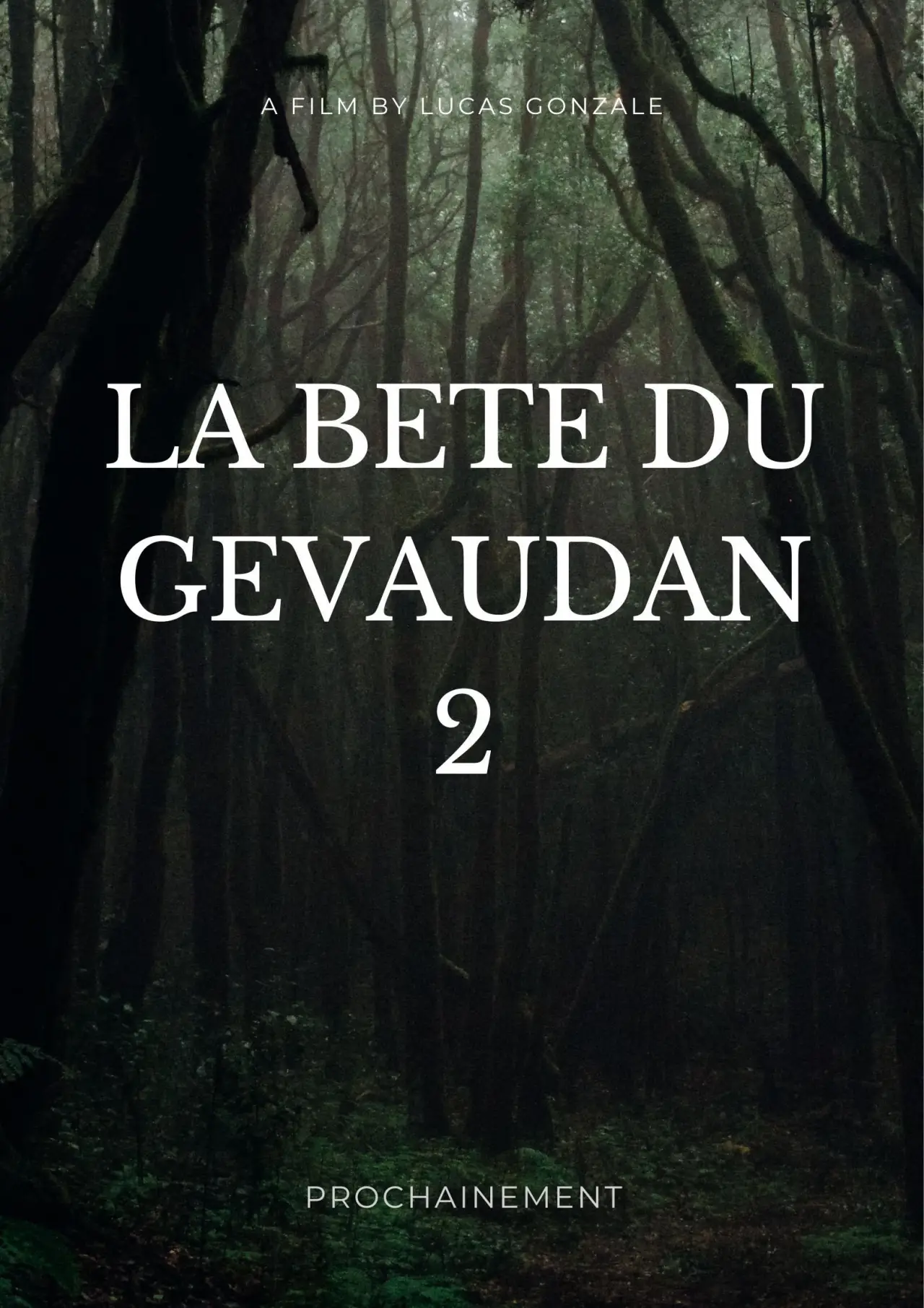 Постер к фильму "La Bête du Gévaudeux"
