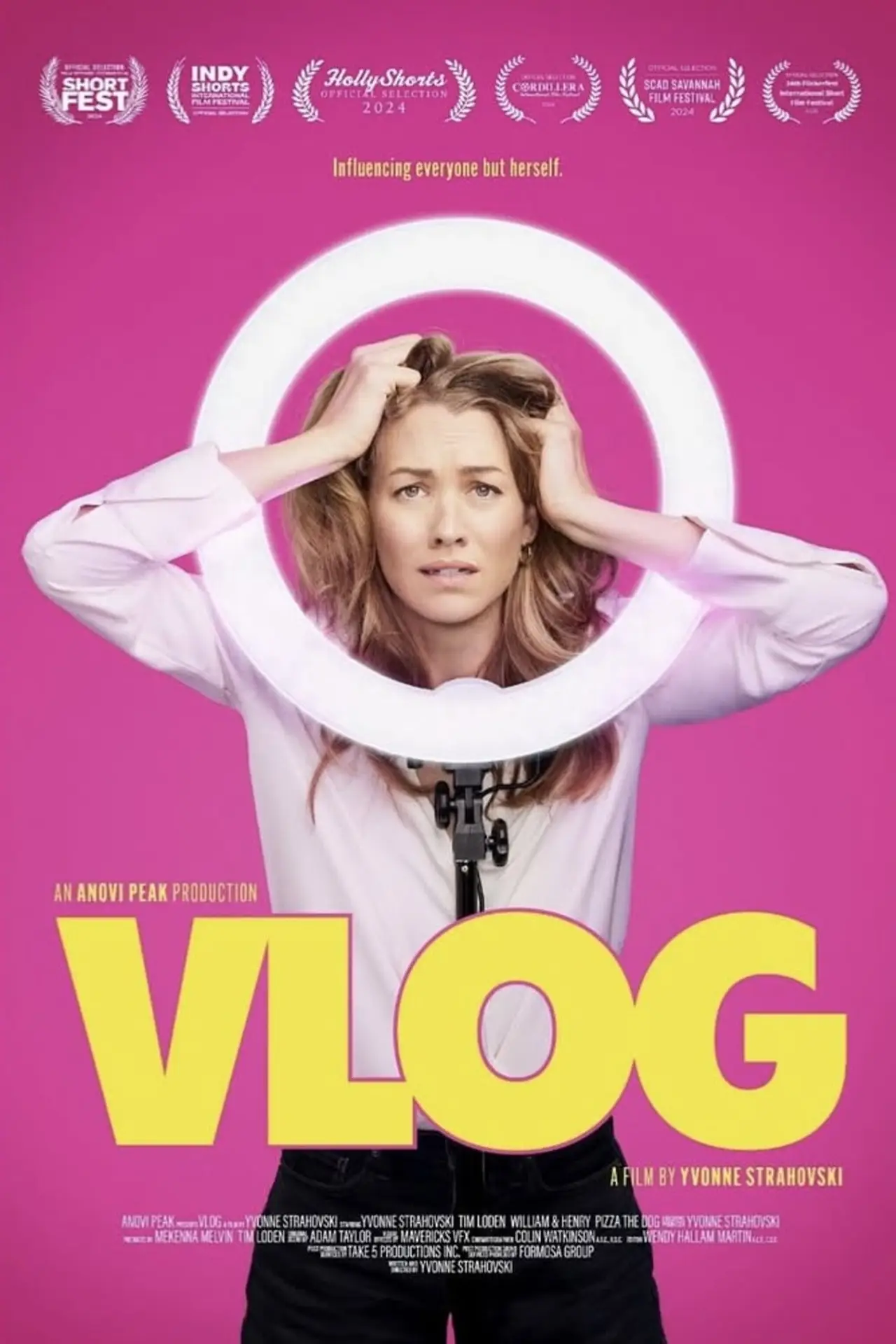 Постер к фильму "VLOG"