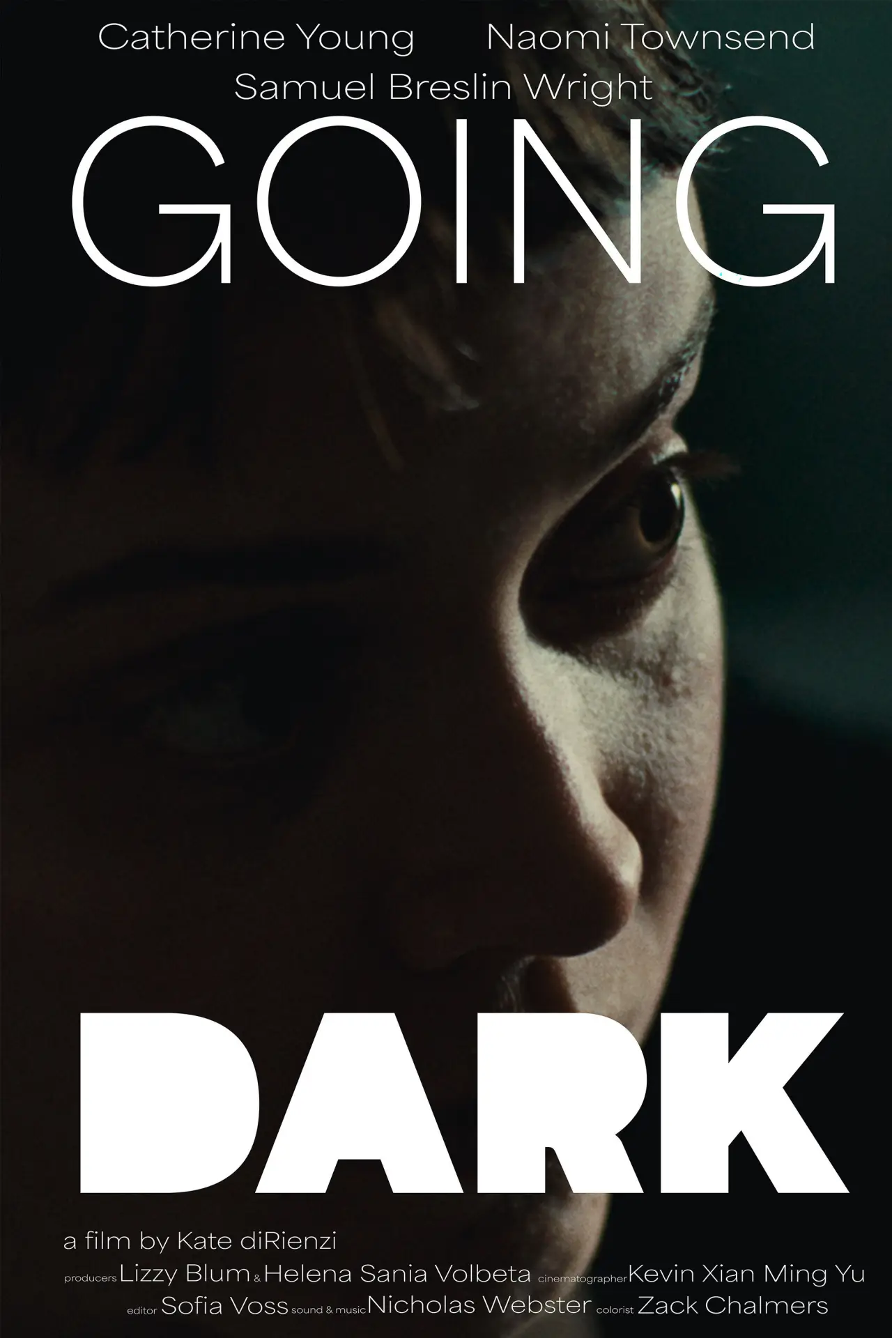 Постер к фильму "Going Dark"