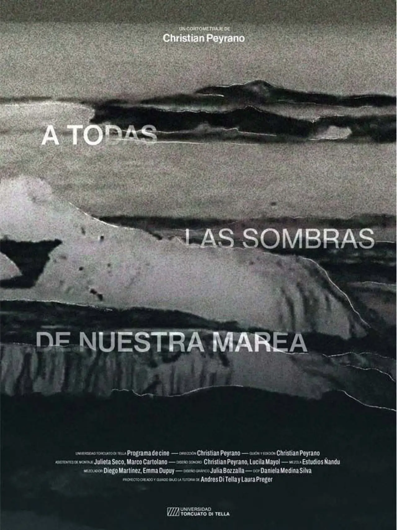 Постер к фильму "A todas las sombras de nuestra marea"