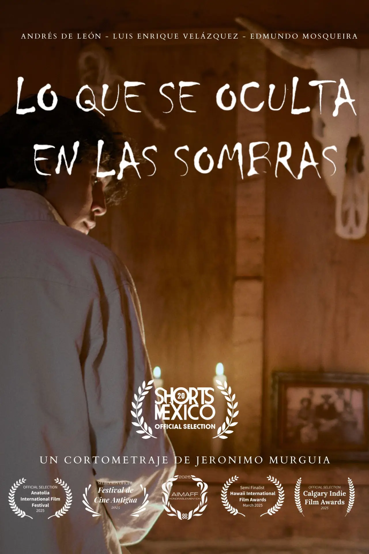 Постер к фильму "Lo que se oculta en las sombras"