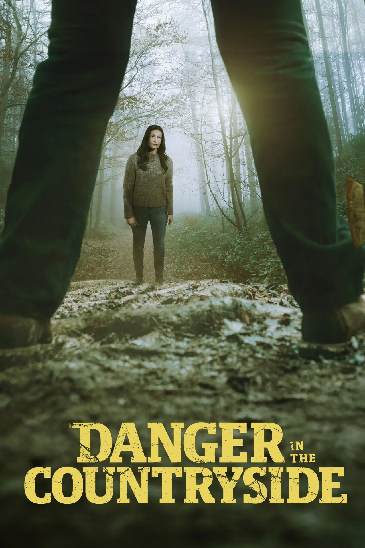 Постер к фильму "Danger in the Countryside"