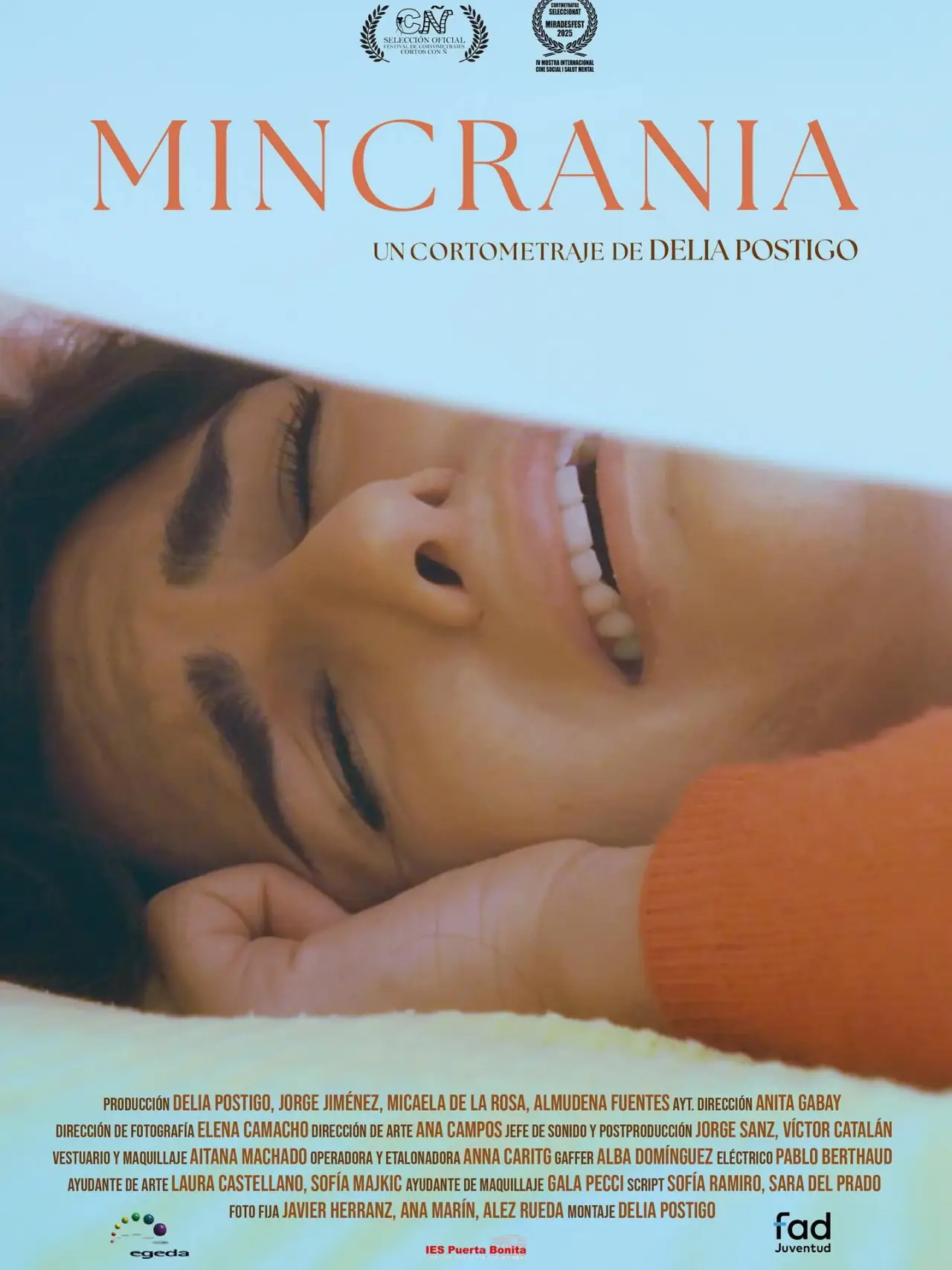 Постер к фильму "Mincrania"