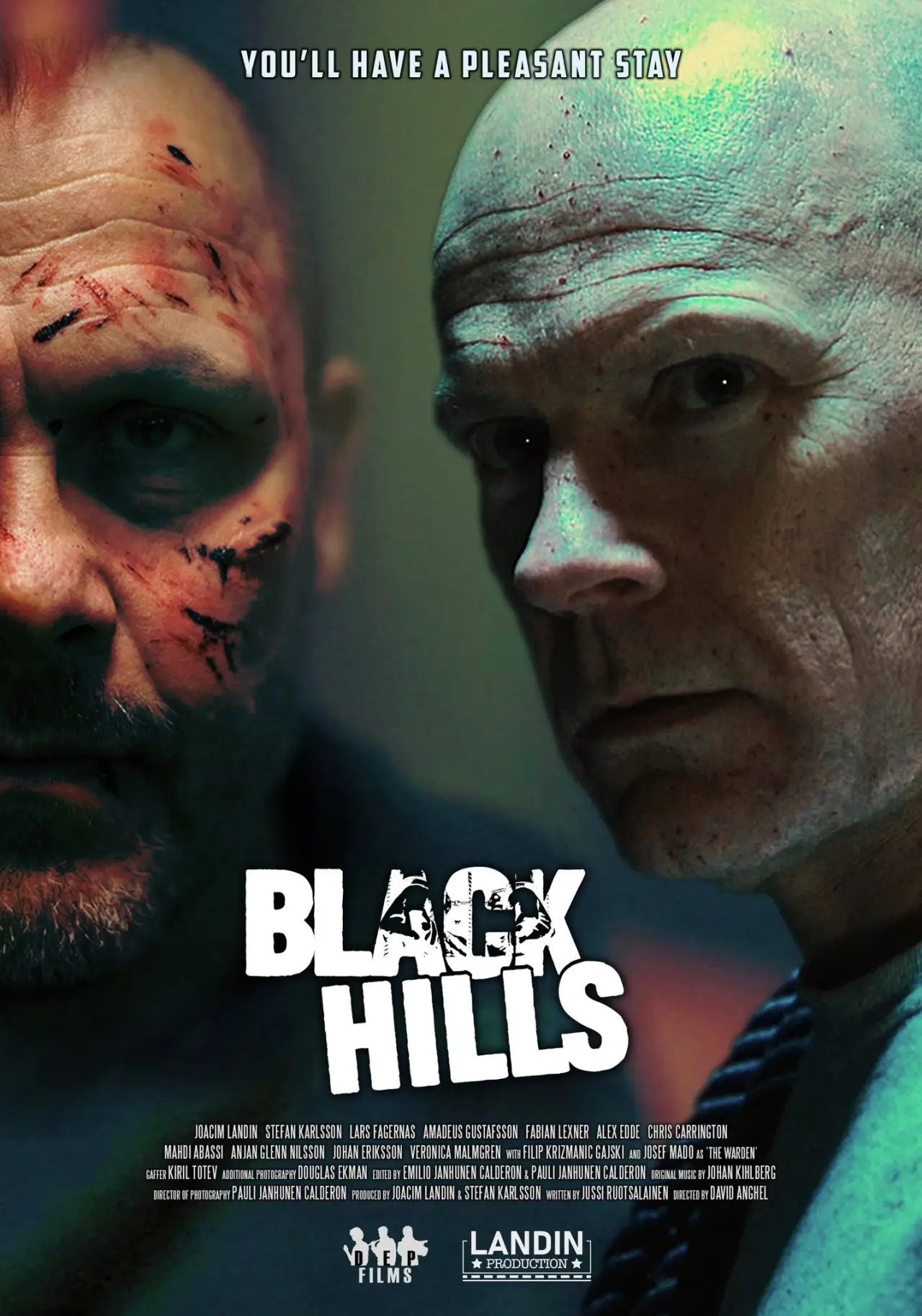 Постер к фильму "Black Hills"