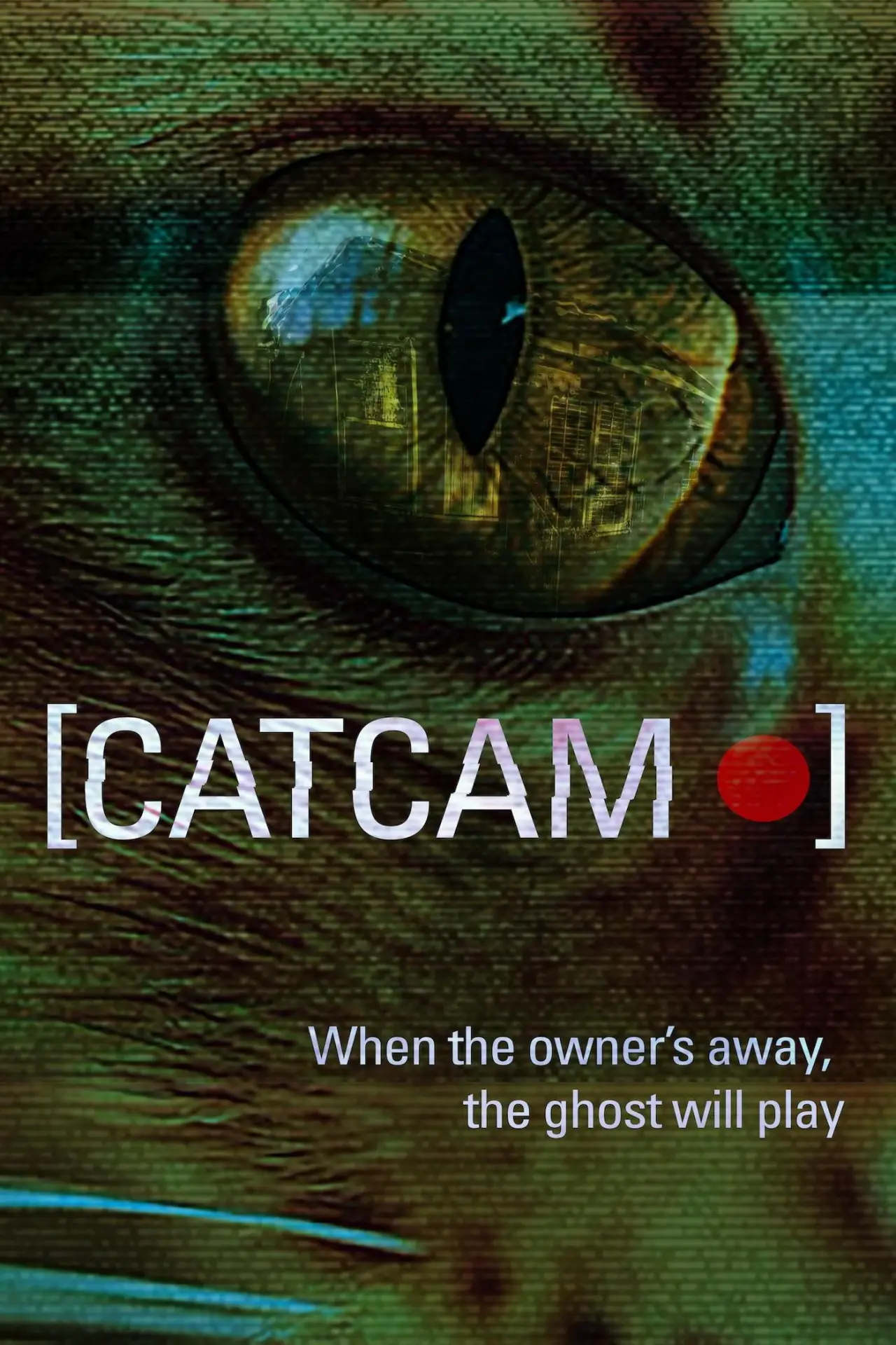 Постер к фильму "Cat Cam"