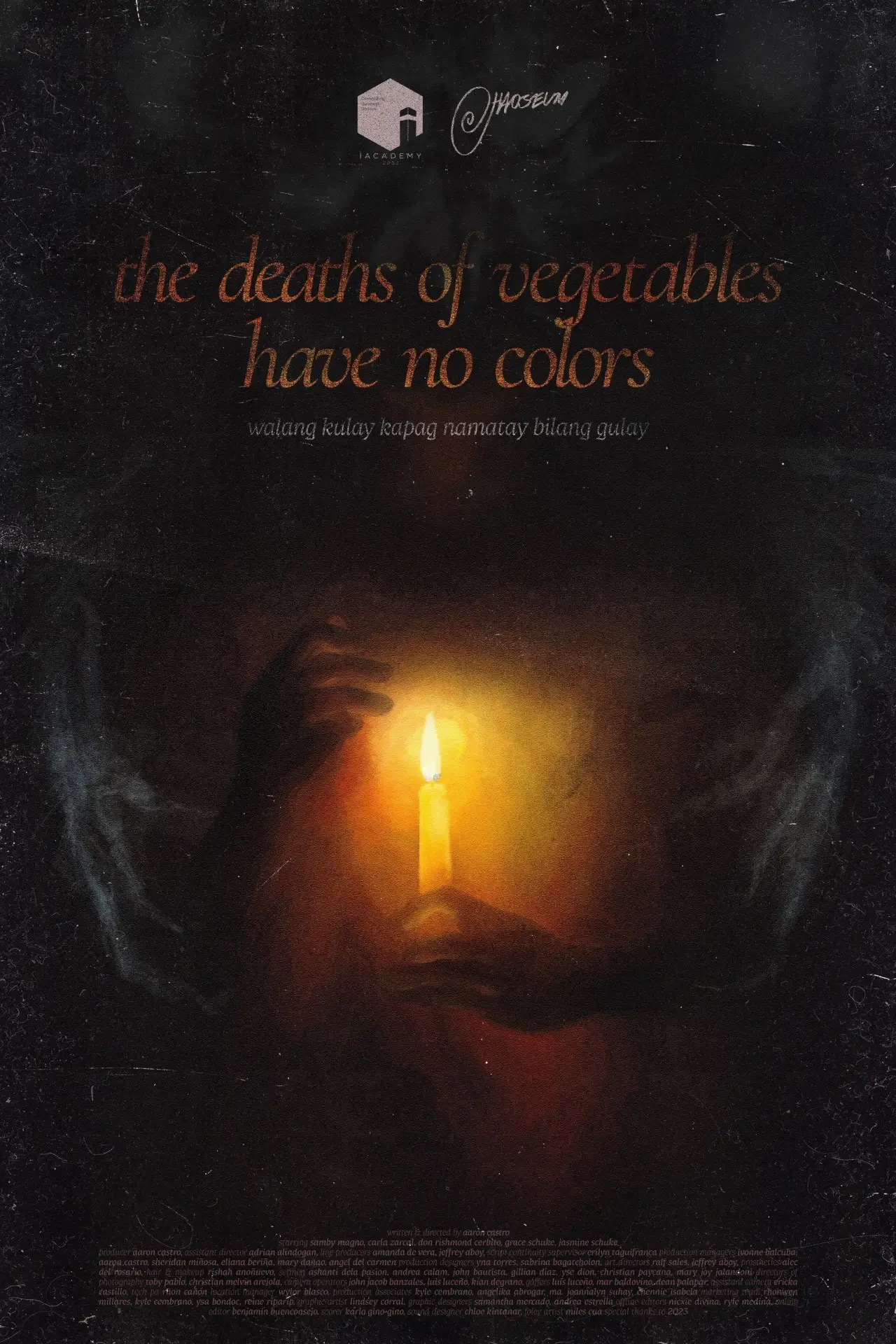 Постер к фильму "the deaths of vegetables have no colors"